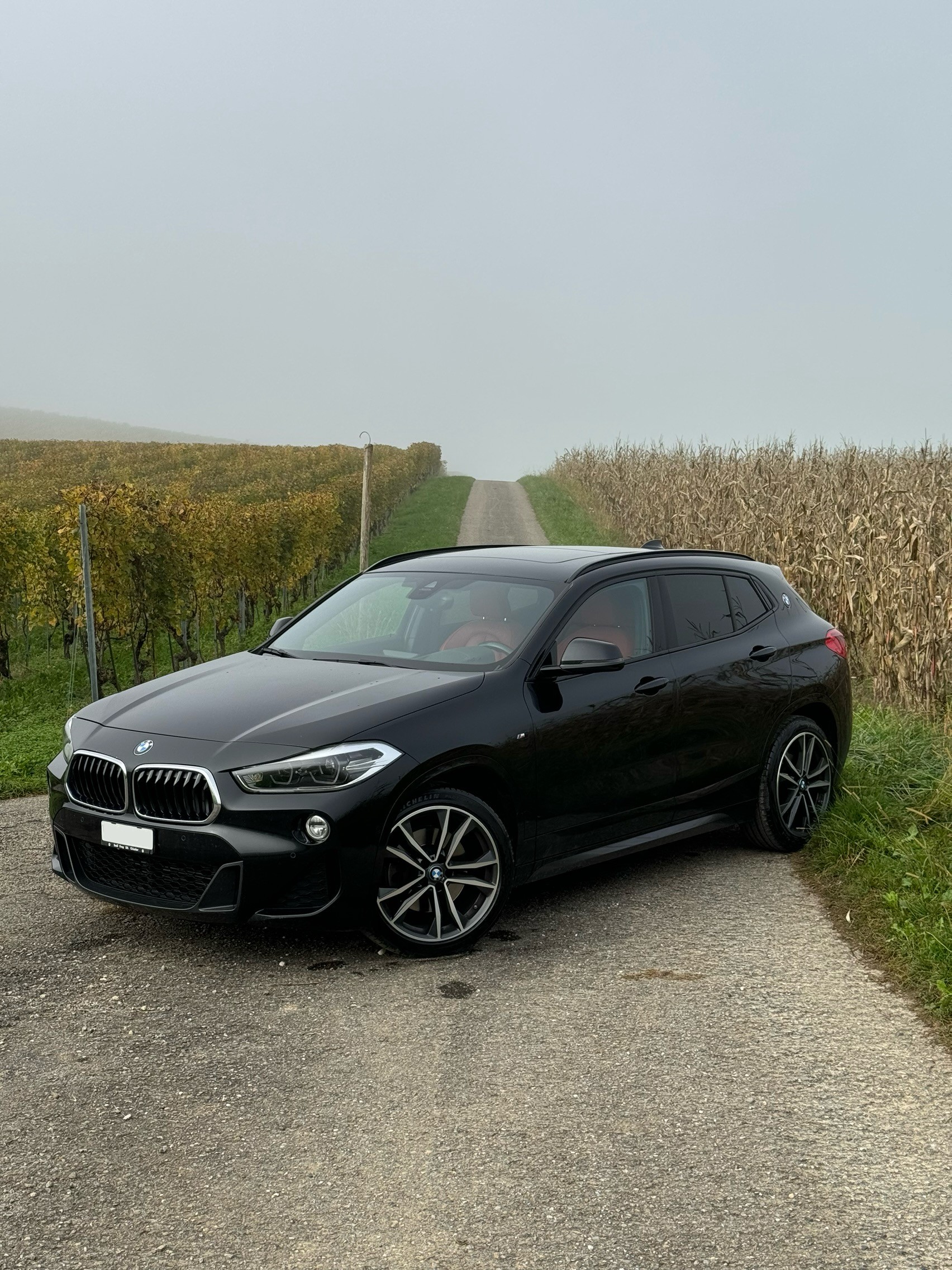 BMW X2 sDrive 20i M Sport Steptronic DSK