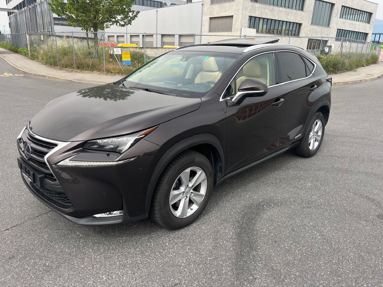 LEXUS NX 300h excellence E-Four Automatic