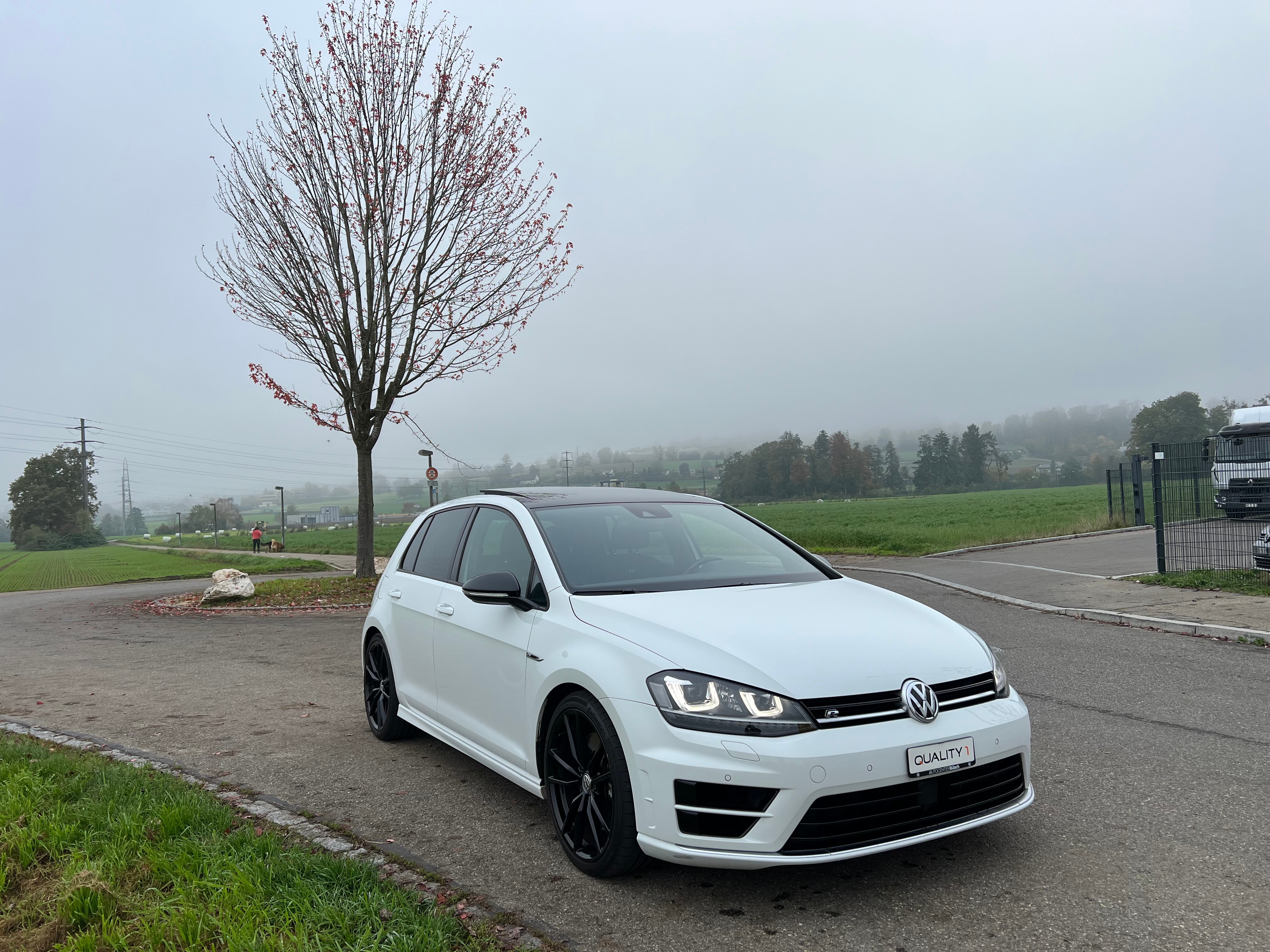 VW Golf 2.0 TSI R 4Motion DSG