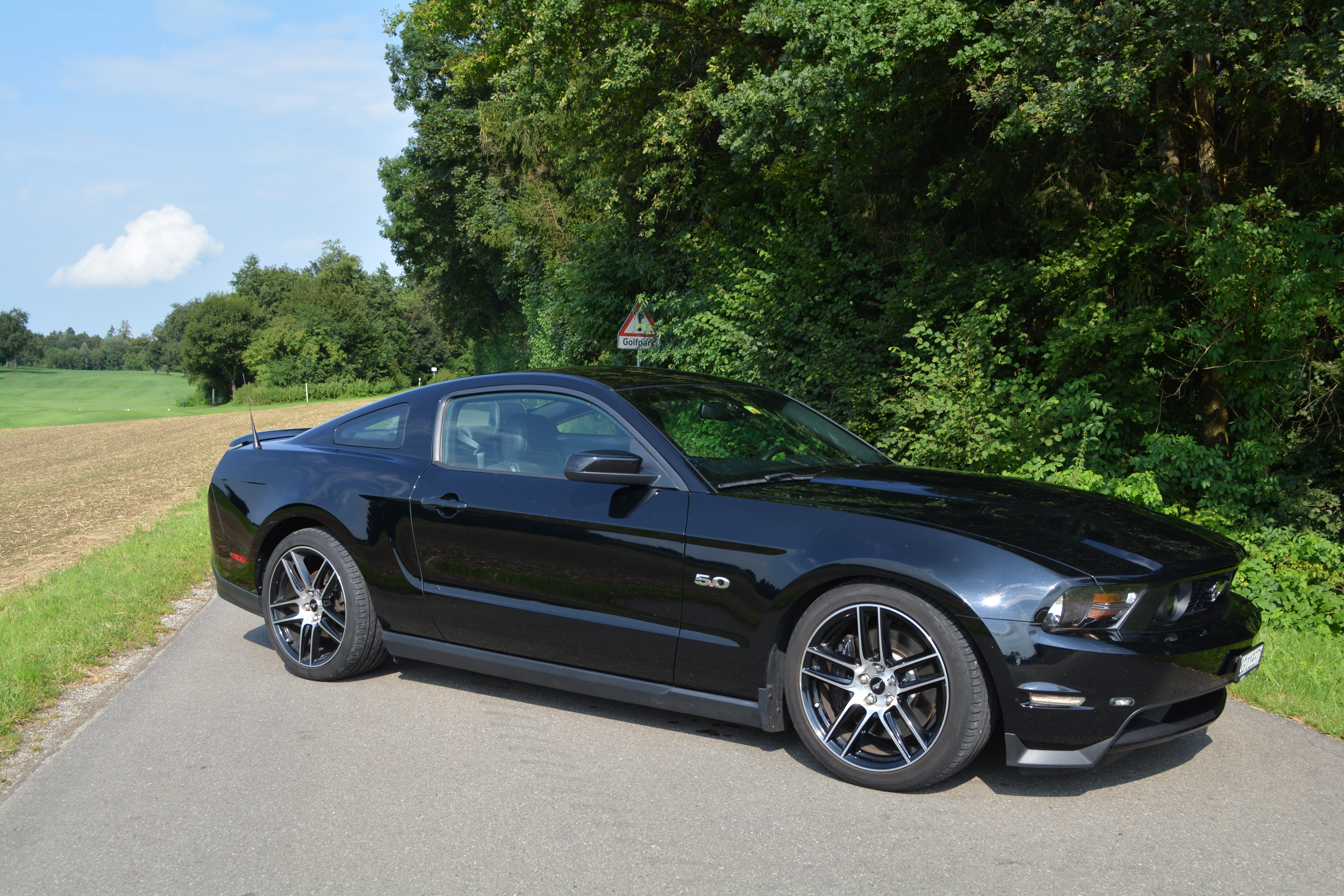 FORD MUSTANG GT 5.0