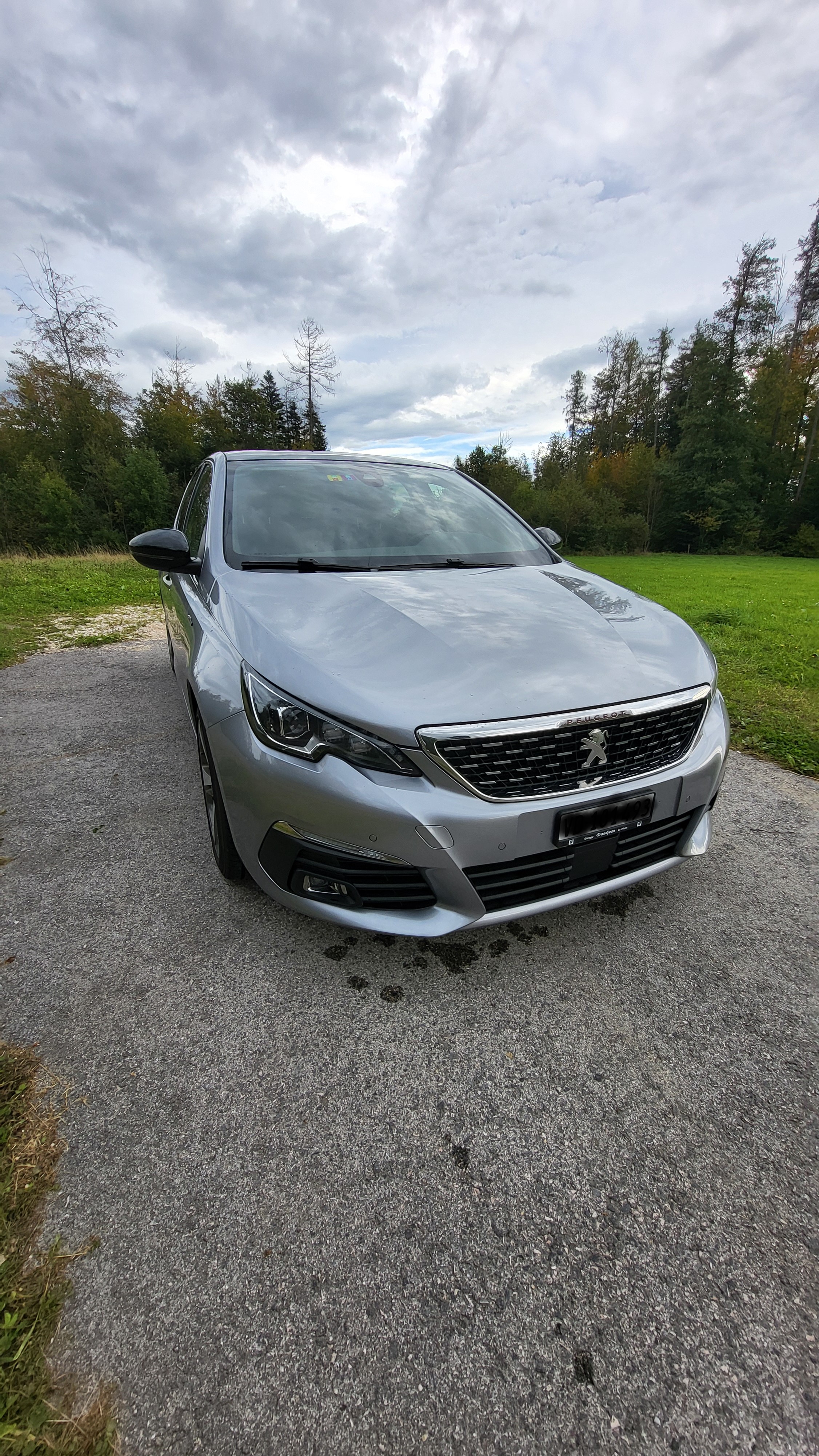 PEUGEOT 308 1.2 Pure Tech GT Line EAT8