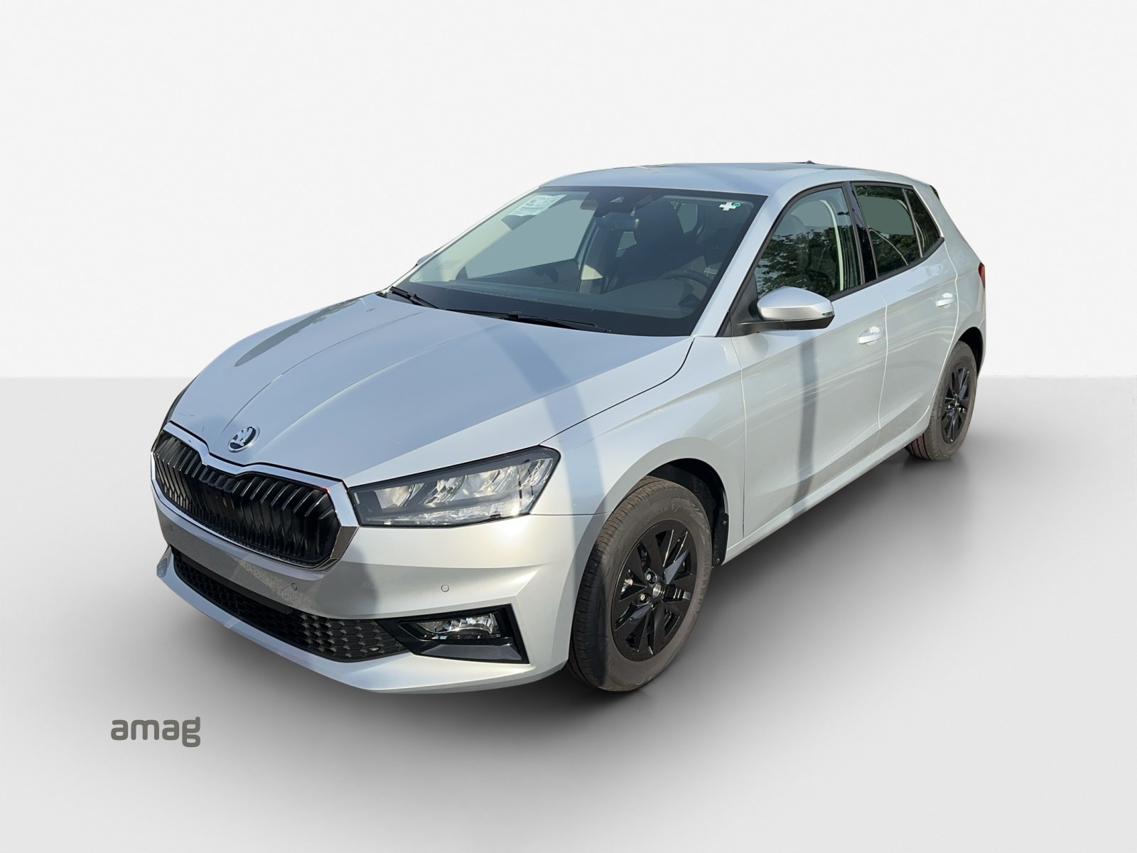 SKODA Fabia 1.0 TSI Selection