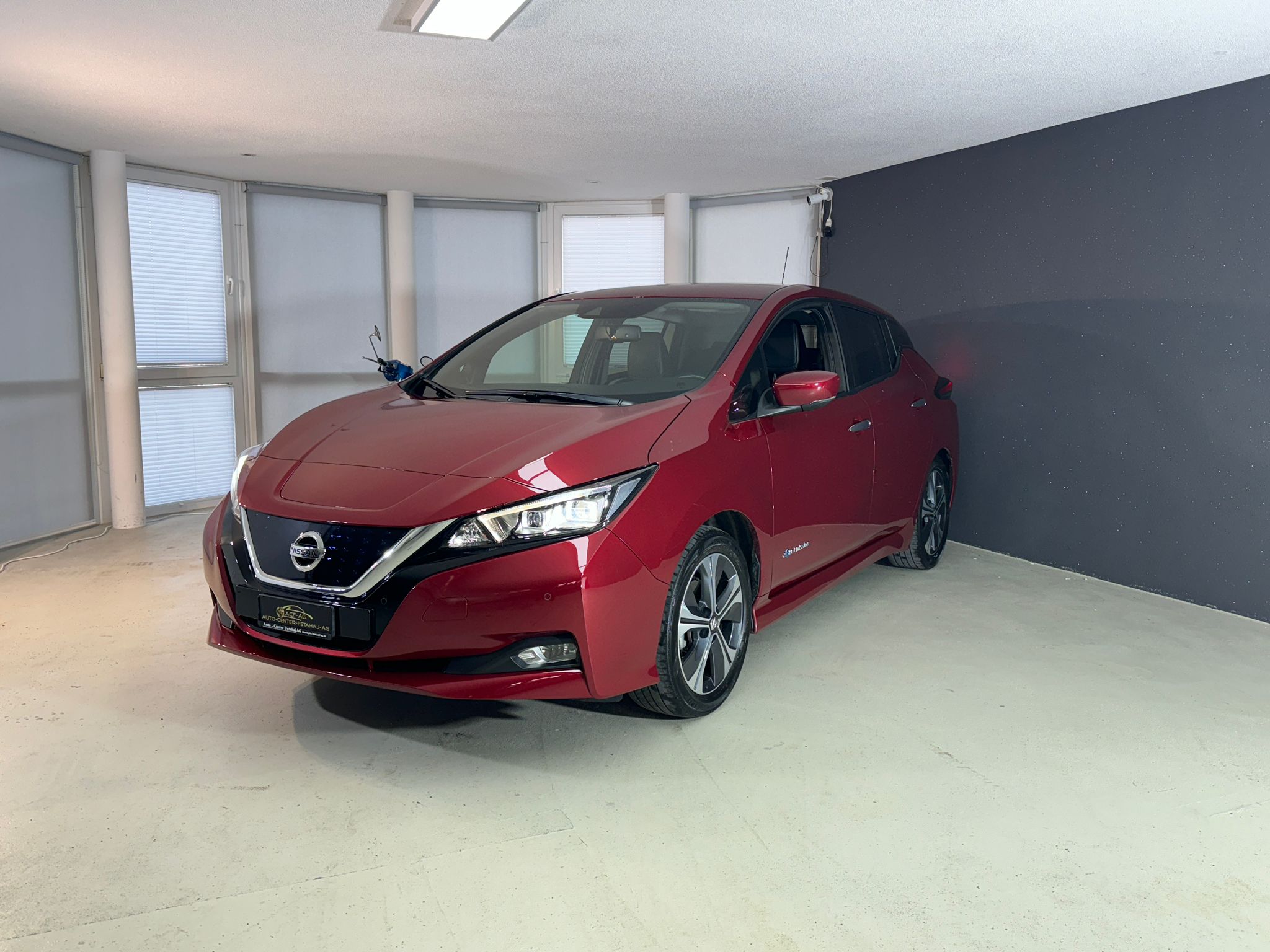 NISSAN Leaf Tekna(incl.battery)