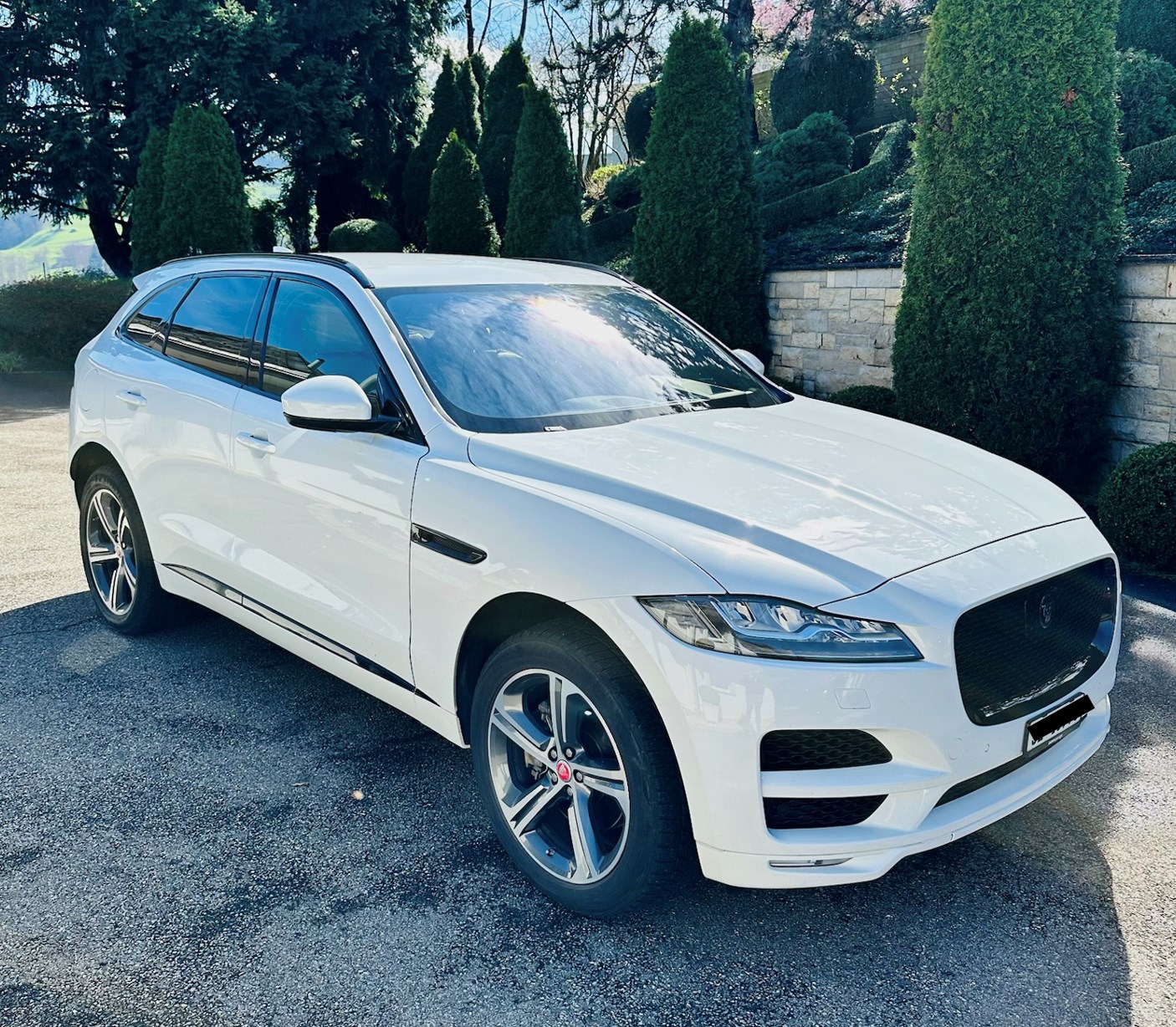 JAGUAR F-Pace 3.0 TD R-Sport AWD Automatik