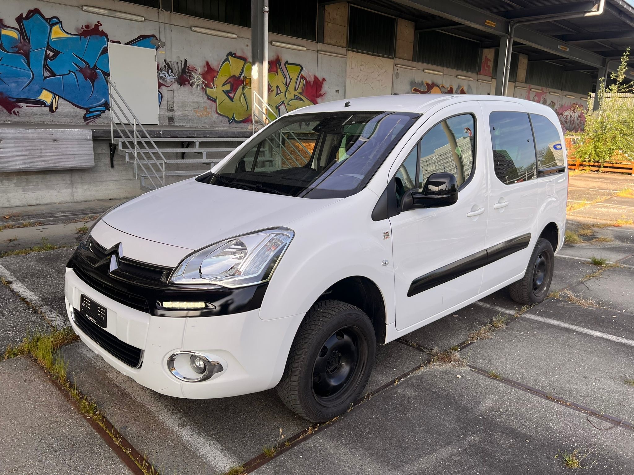 CITROEN Berlingo 1.6i HDi 4x4 Dangel