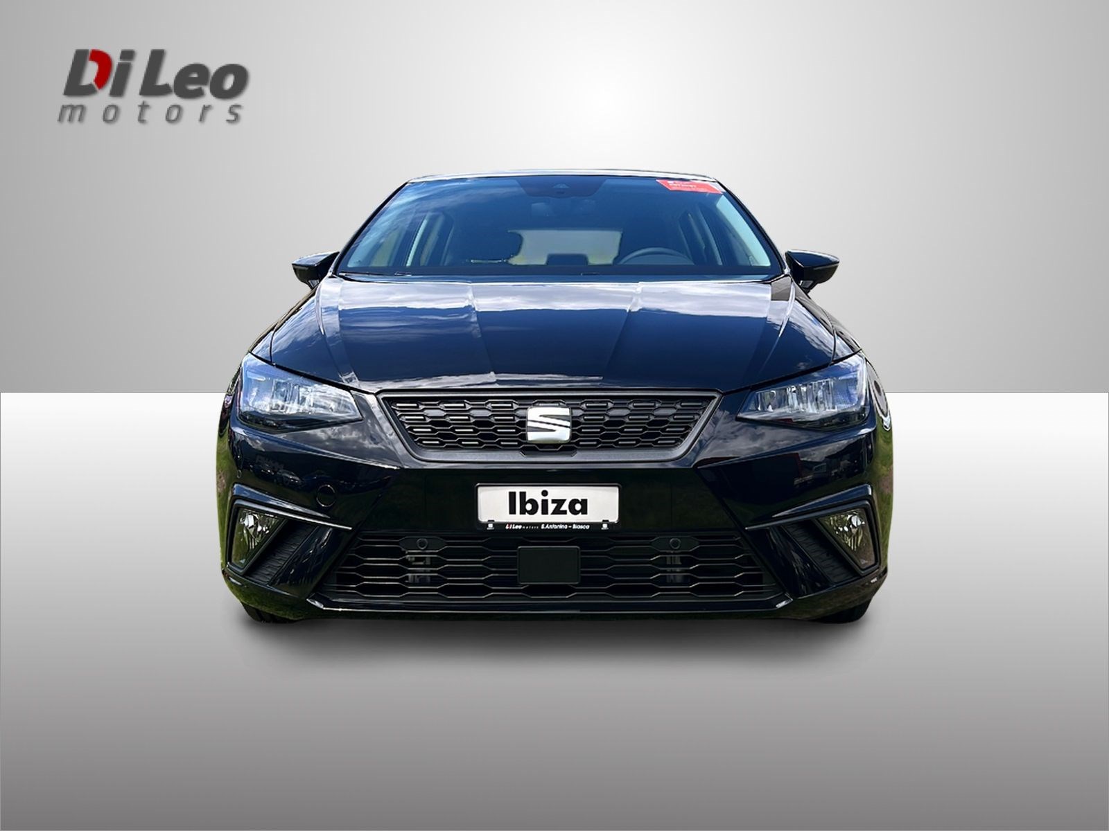 SEAT Ibiza 1.0 EcoTSI Sensacion DSG