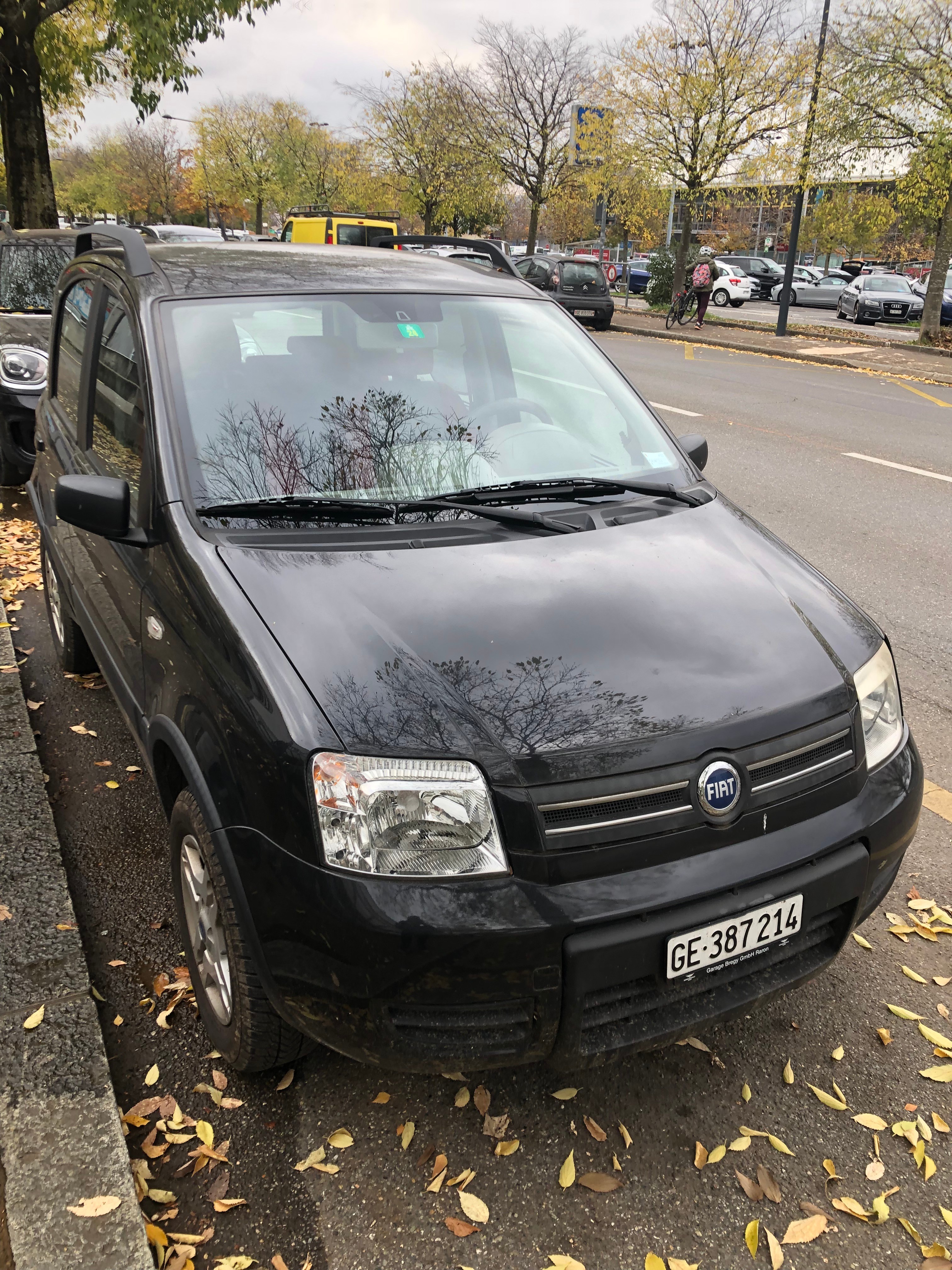 FIAT Panda 1.2 Climbing 4x4