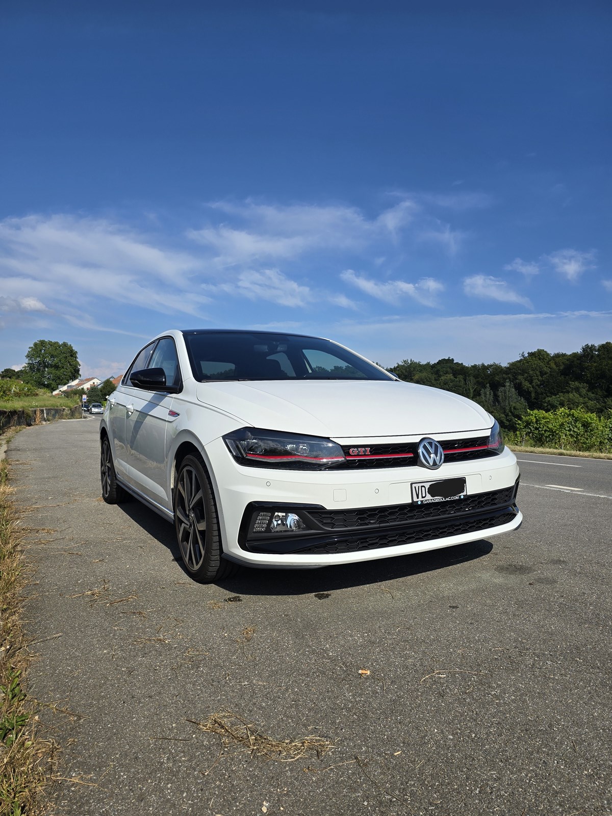 VW Polo 2.0 TSI GTI DSG