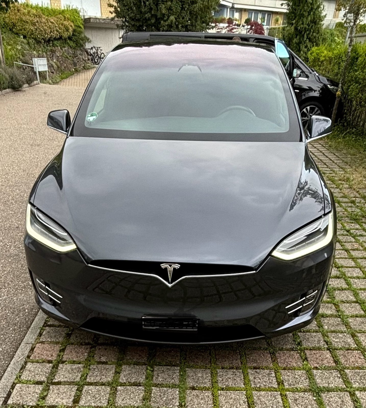 TESLA Model X 100 D