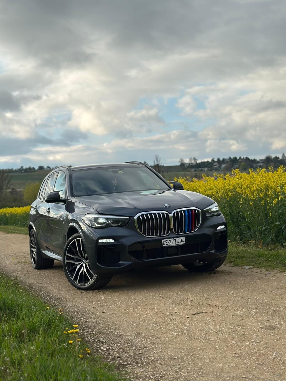 BMW X5 xDrive 30d xLine Steptronic