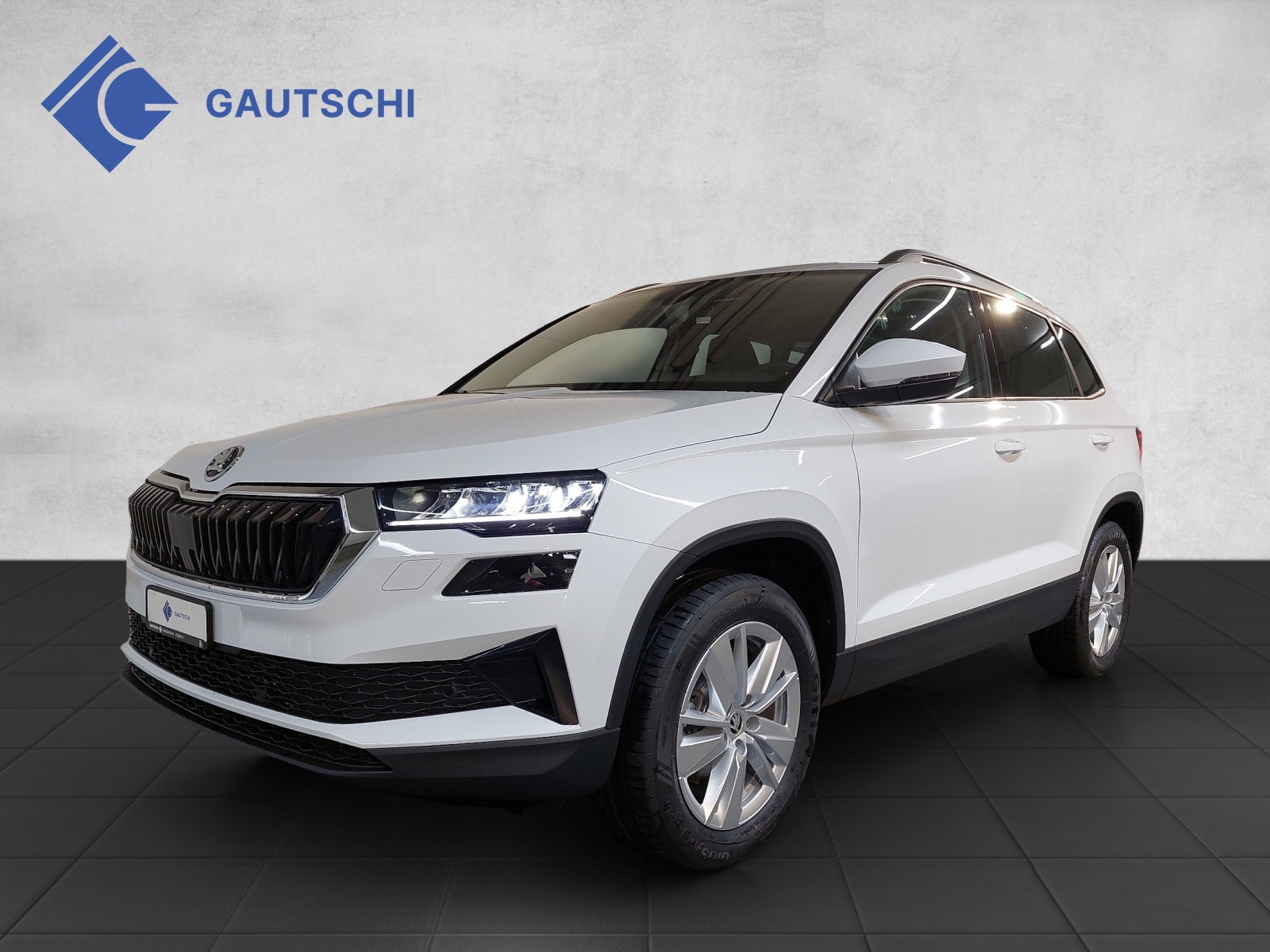 SKODA Karoq 2.0 TDI CR Selection 4x4 DSG