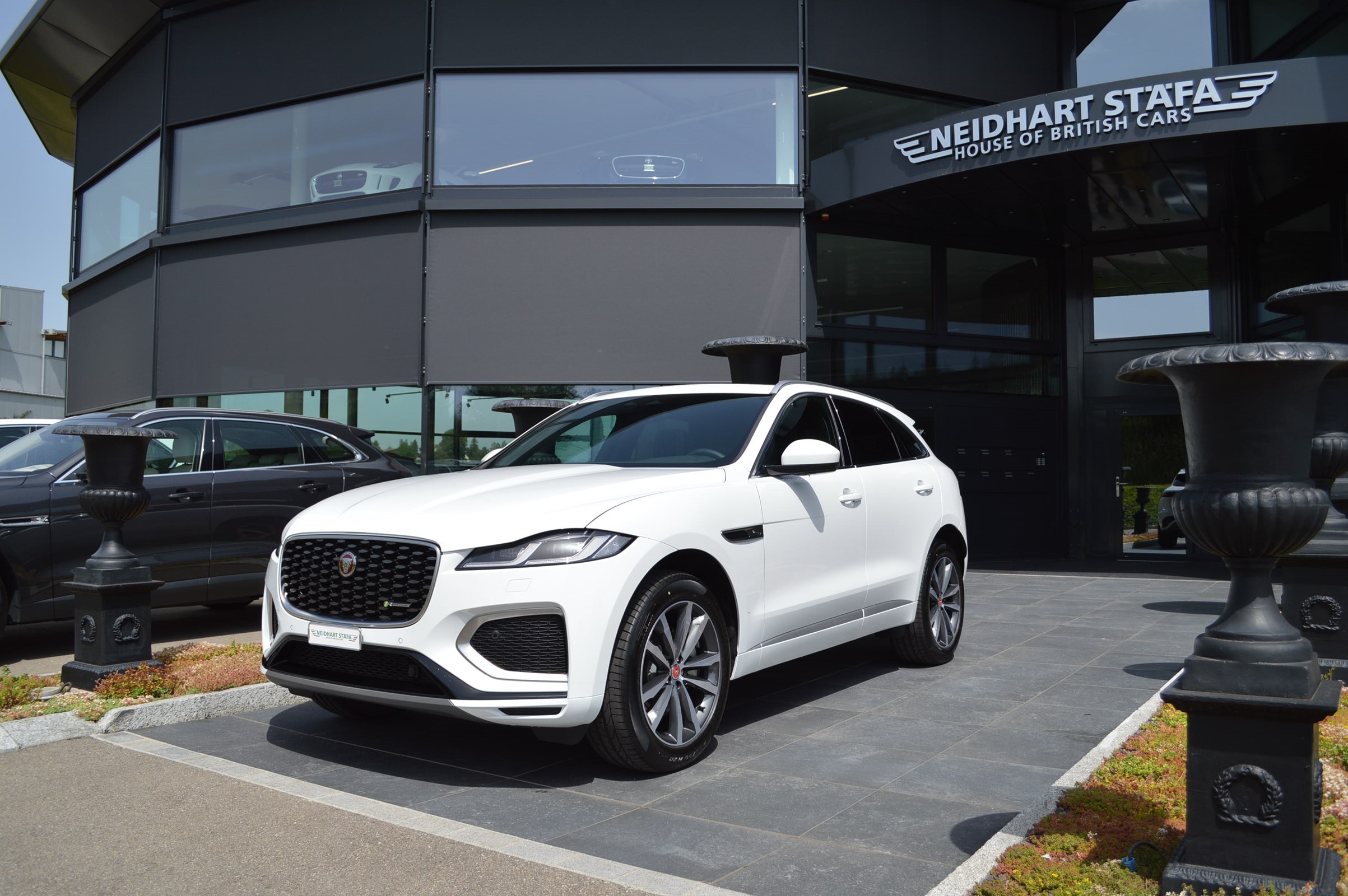 JAGUAR F-Pace 2.0 P250 R-Dynamic SE AWD