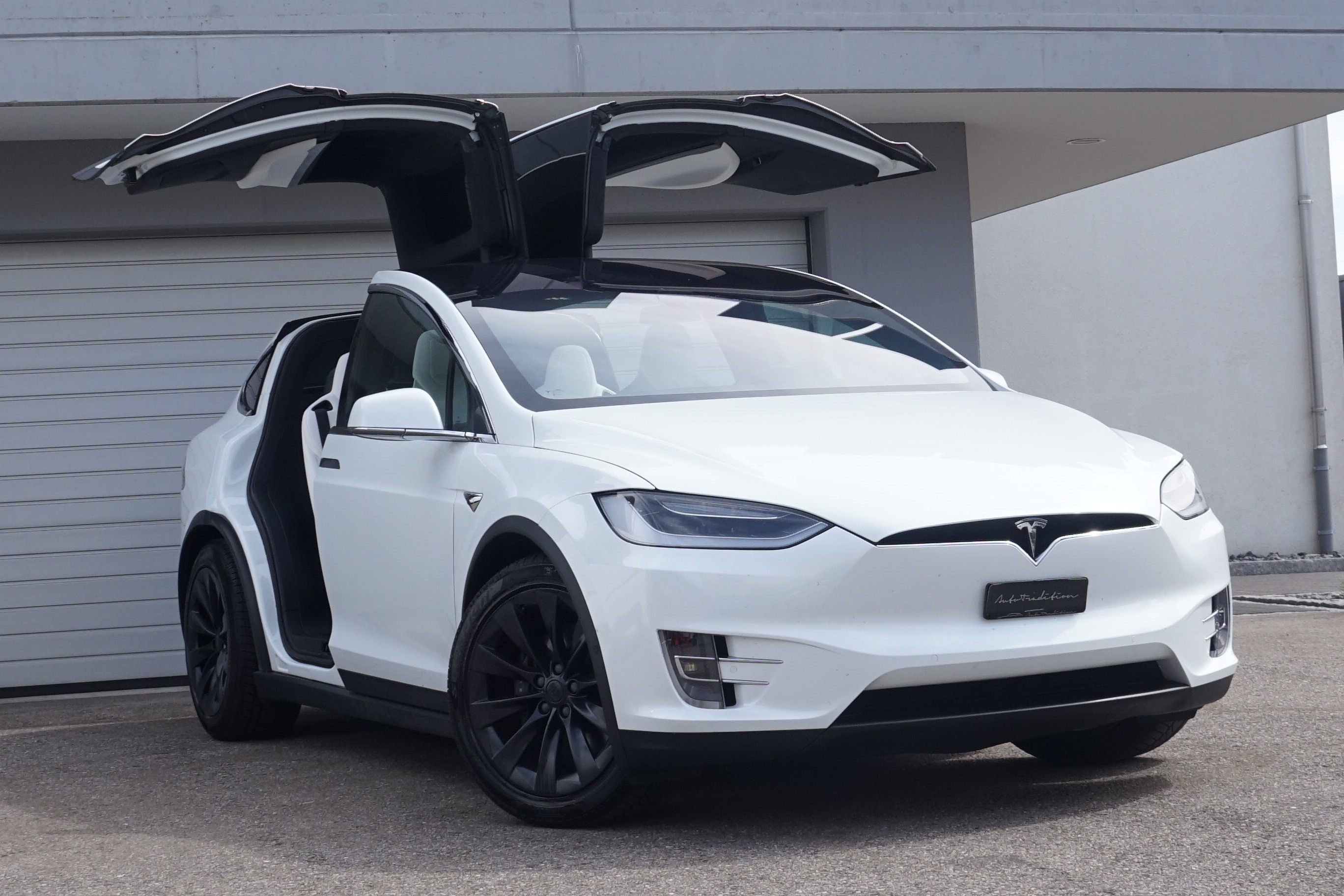 TESLA Model X 100 D - MAXIMALE REICHWEITE - GARANTIE BIS 01.2028