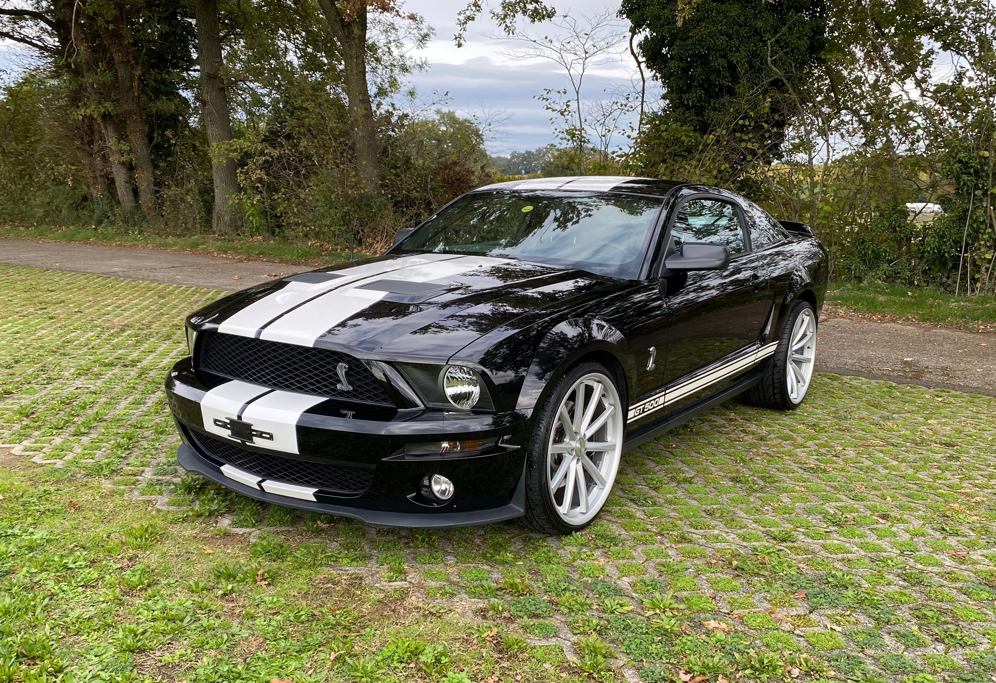 FORD Shelby GT 500