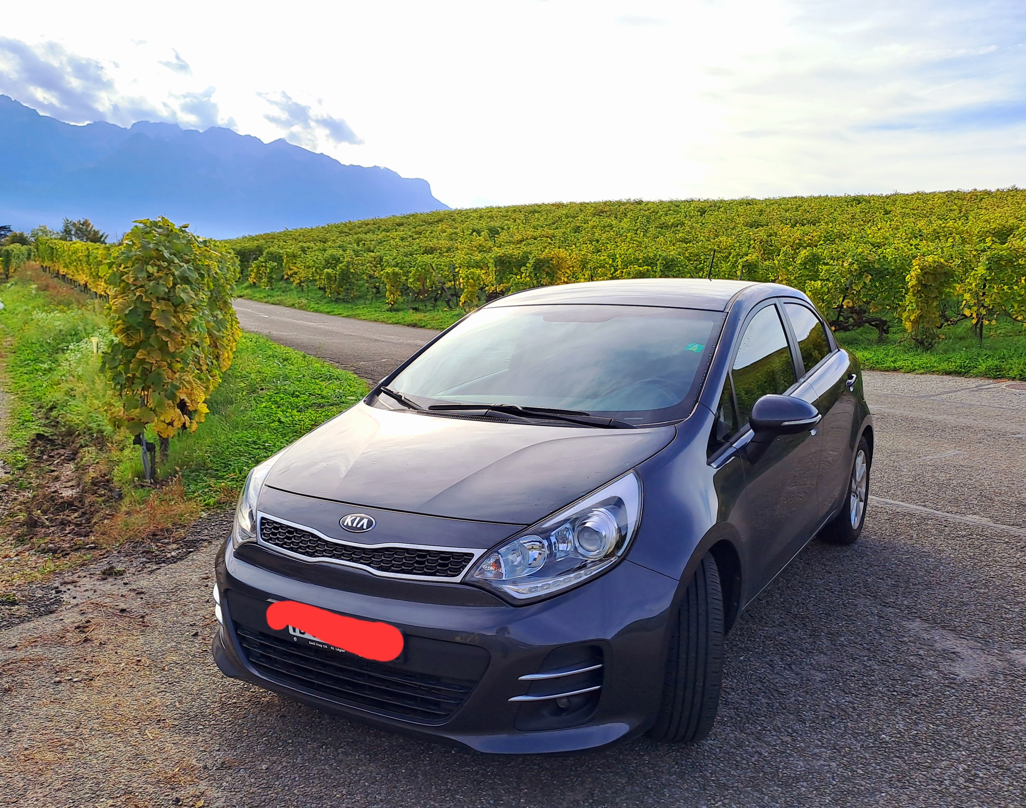 KIA Rio 1.4 CVVT Swiss Champion