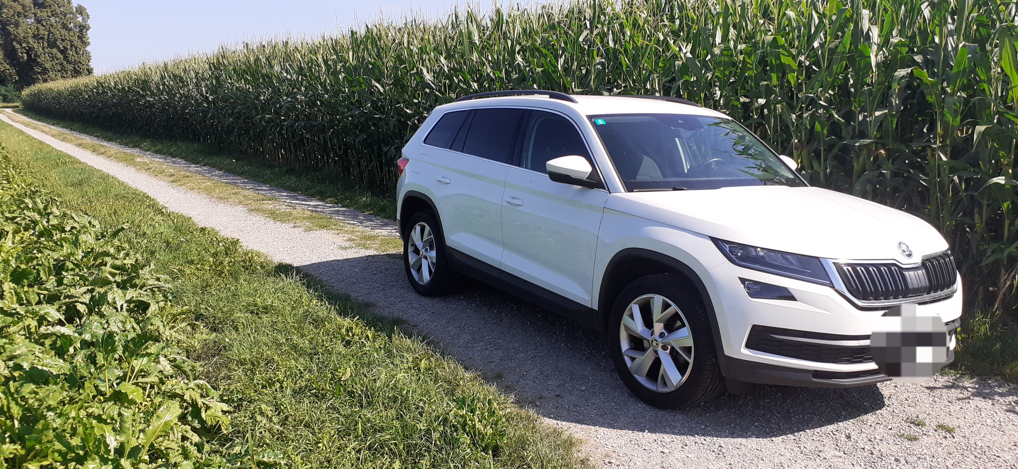 SKODA Kodiaq 2.0 TDI CR Ambition 4x4 DSG