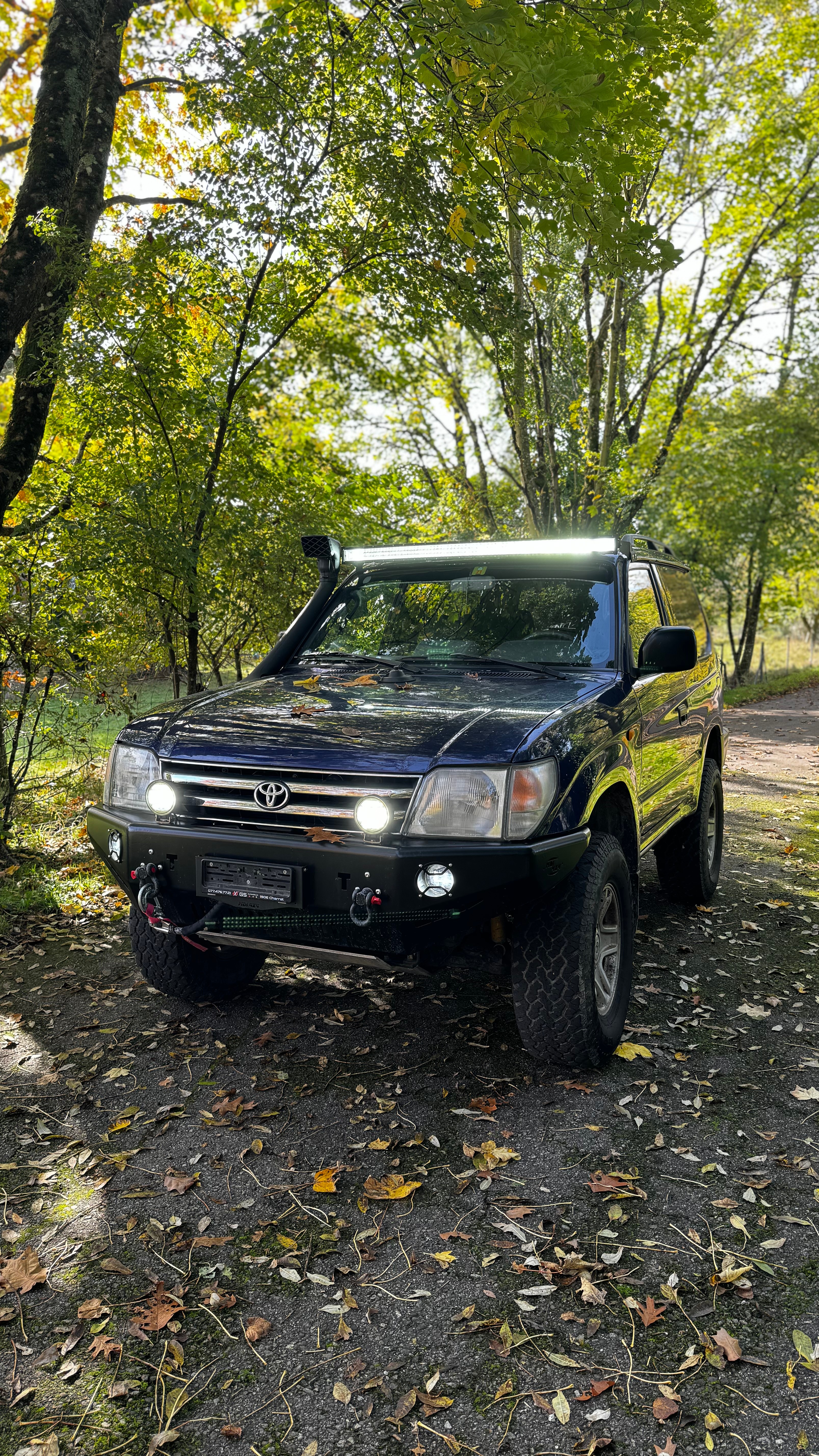 TOYOTA Land Cruiser 300 3.0 TD VX