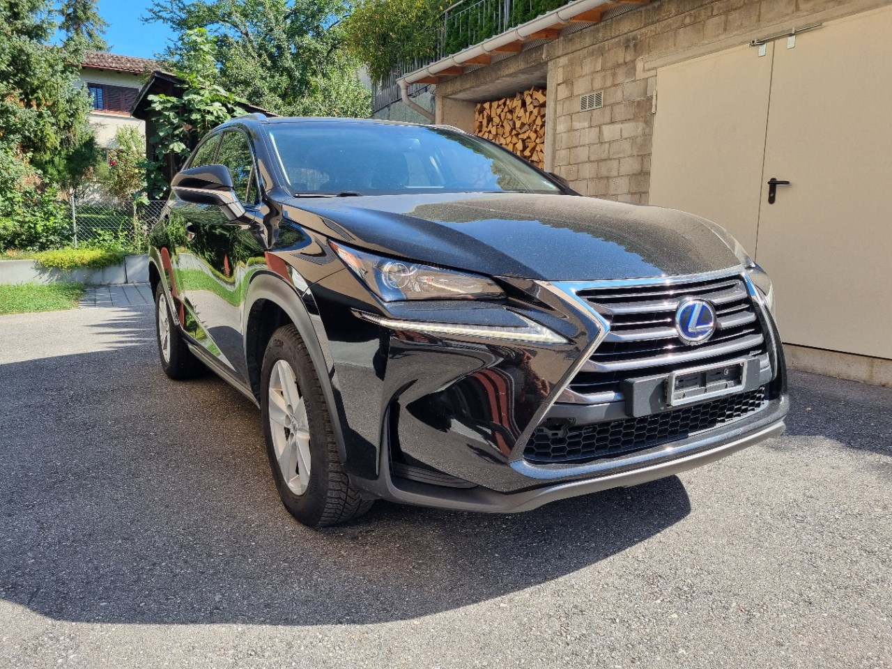 LEXUS NX 300h impression E-Four Automatic