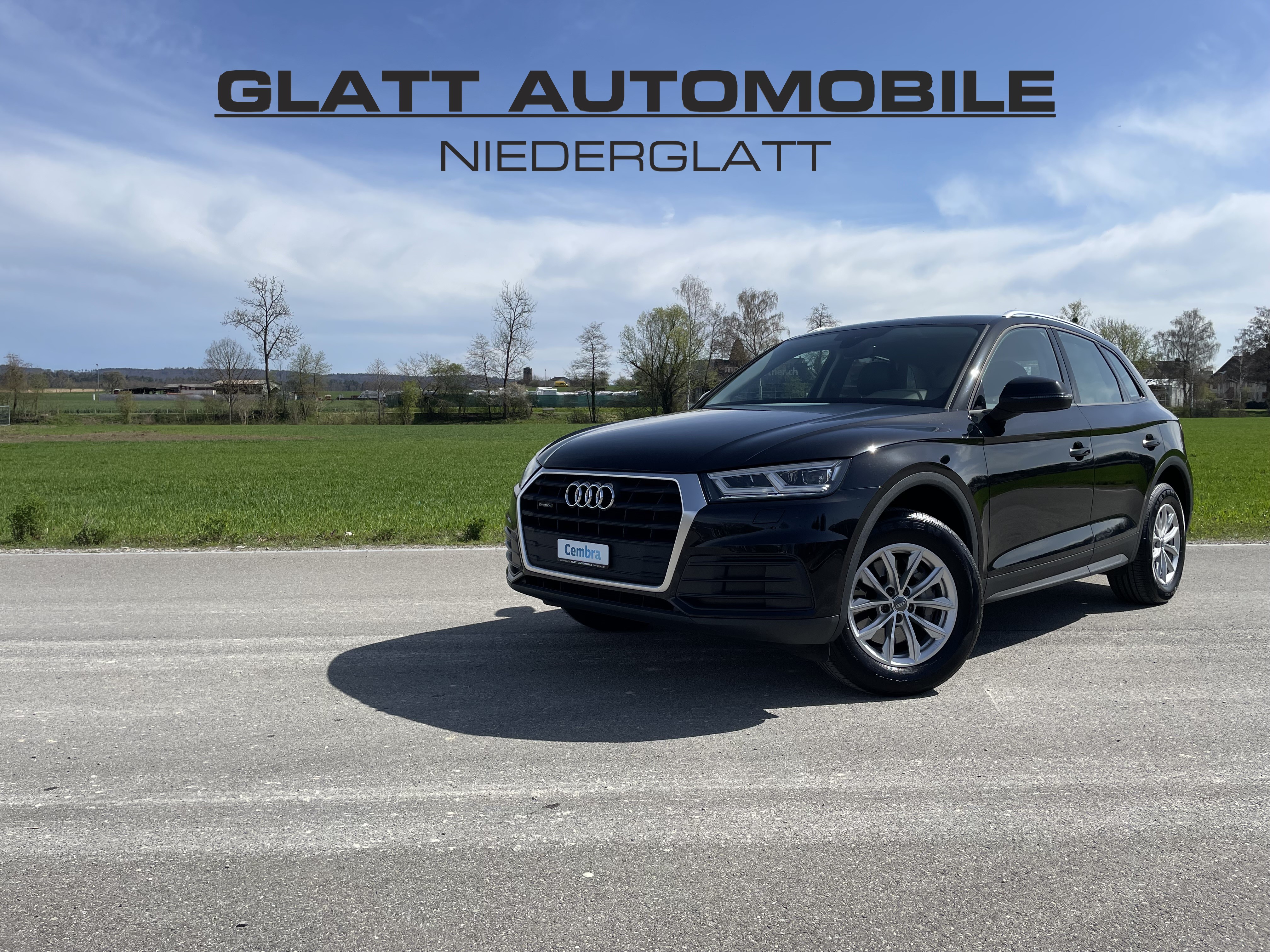 AUDI Q5 2.0 TDI quattro S-tronic *ALCANTARA-ANHÄNGERKUPPLUNG*