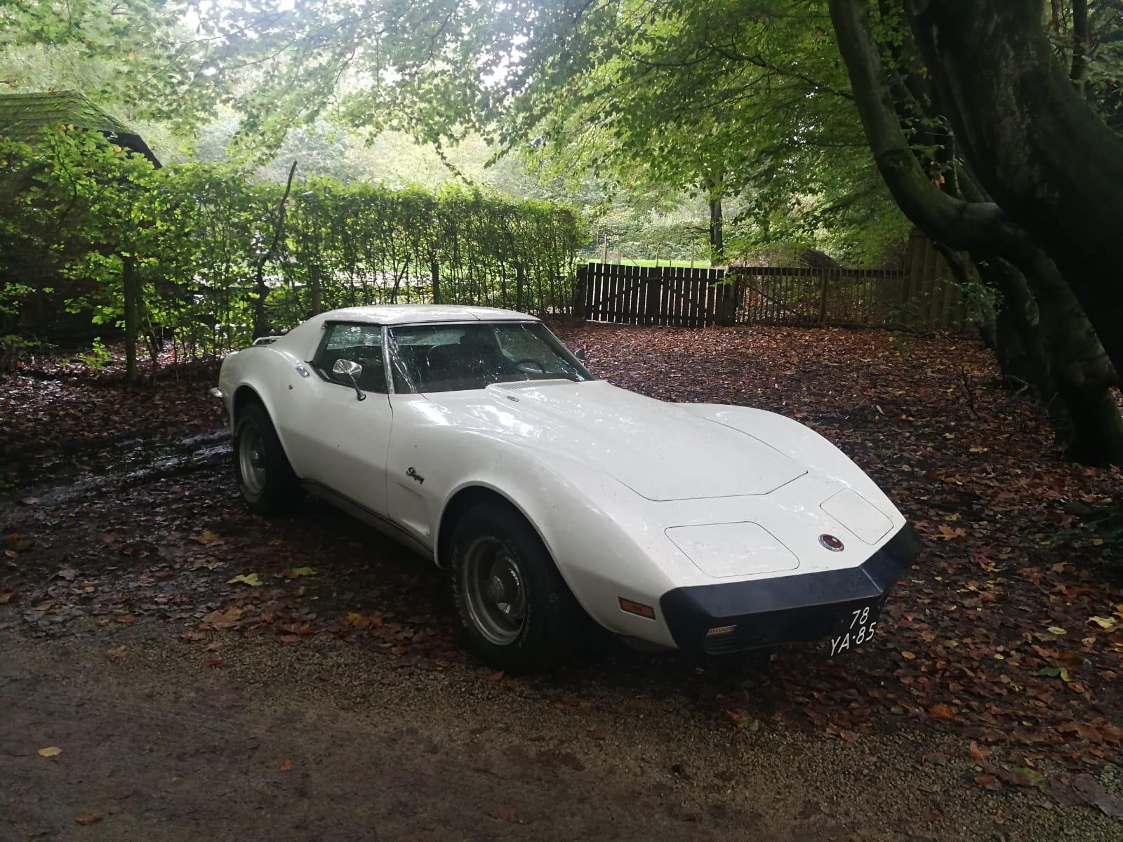 CHEVROLET Corvette C3 Big Block Targa