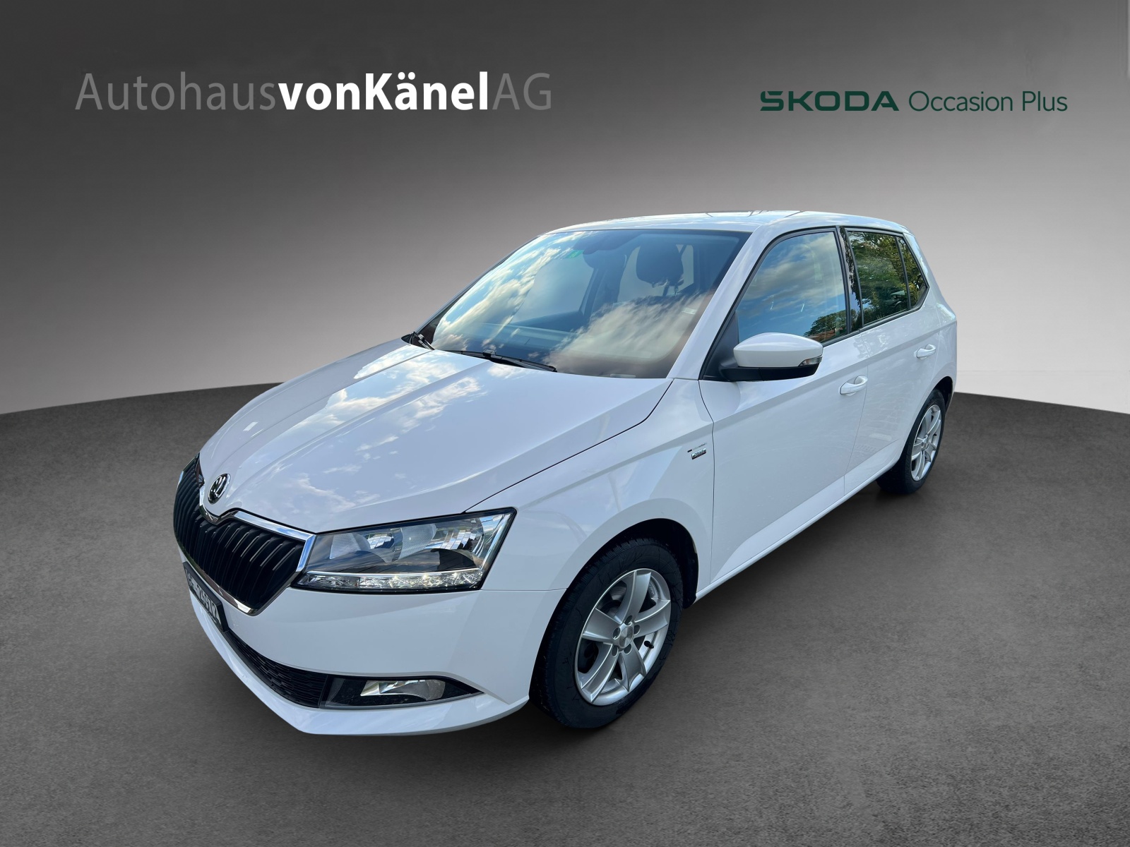 SKODA Fabia 1.0 TSI Drive DSG