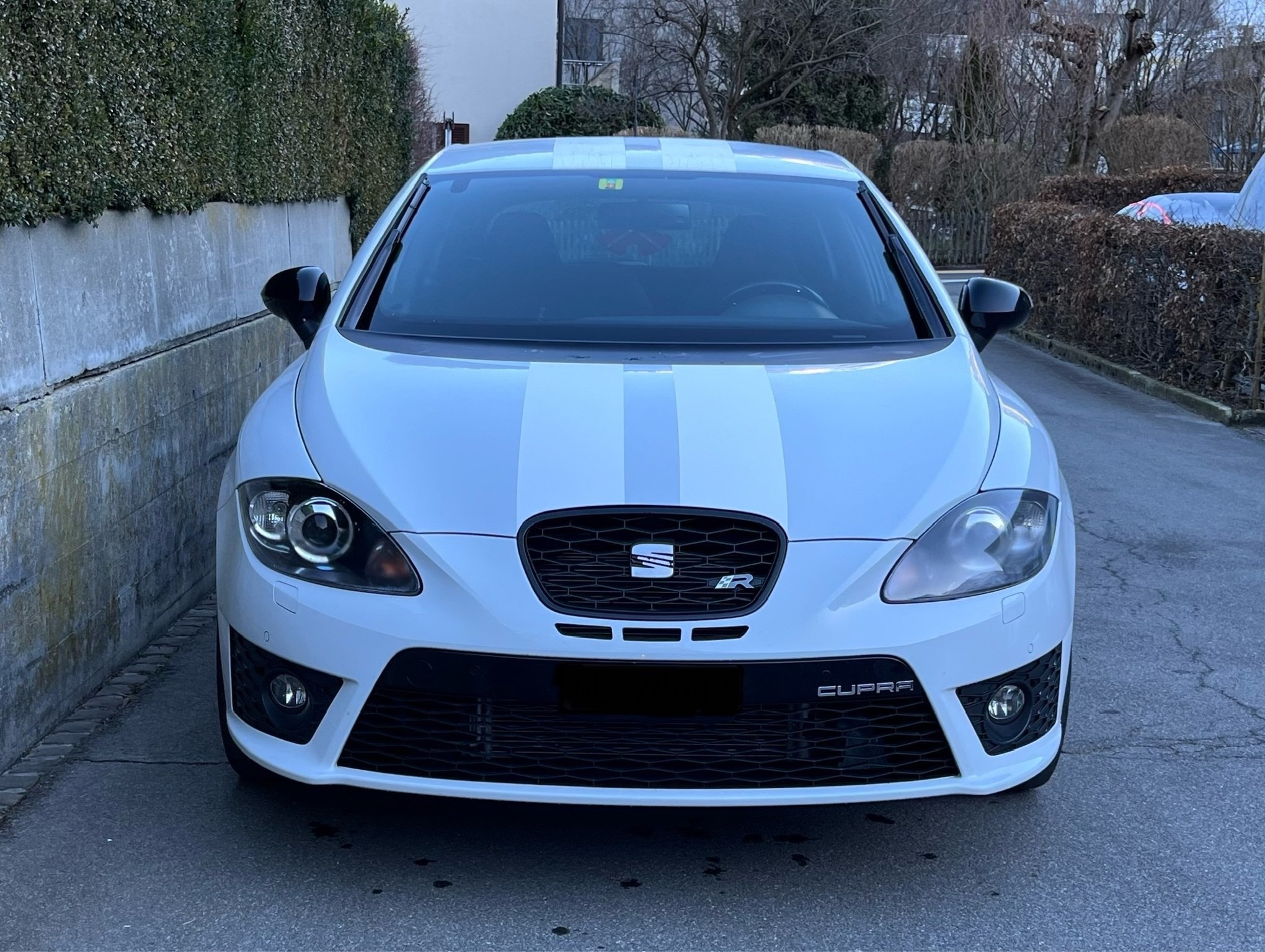 SEAT Leon 2.0 TSI Cupra R310 World Champion Edition