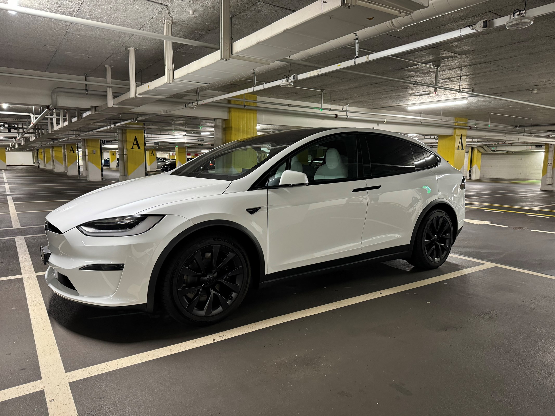 TESLA Model X 100kWh Palladium