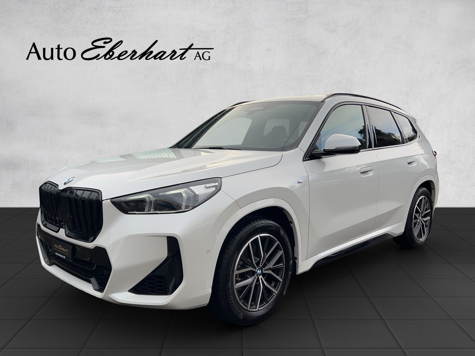 BMW X1 xDrive 23i 48V M Sport