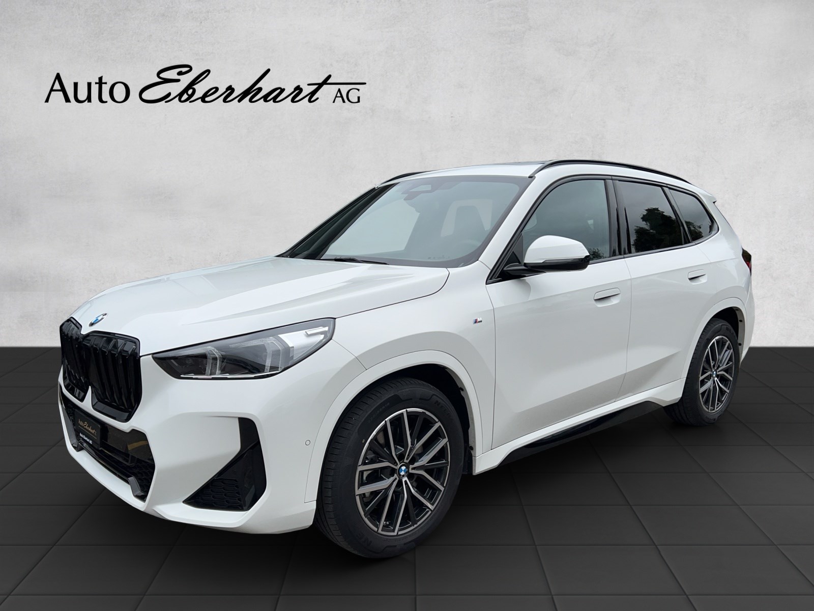 BMW X1 xDrive 23d 48V M Sport