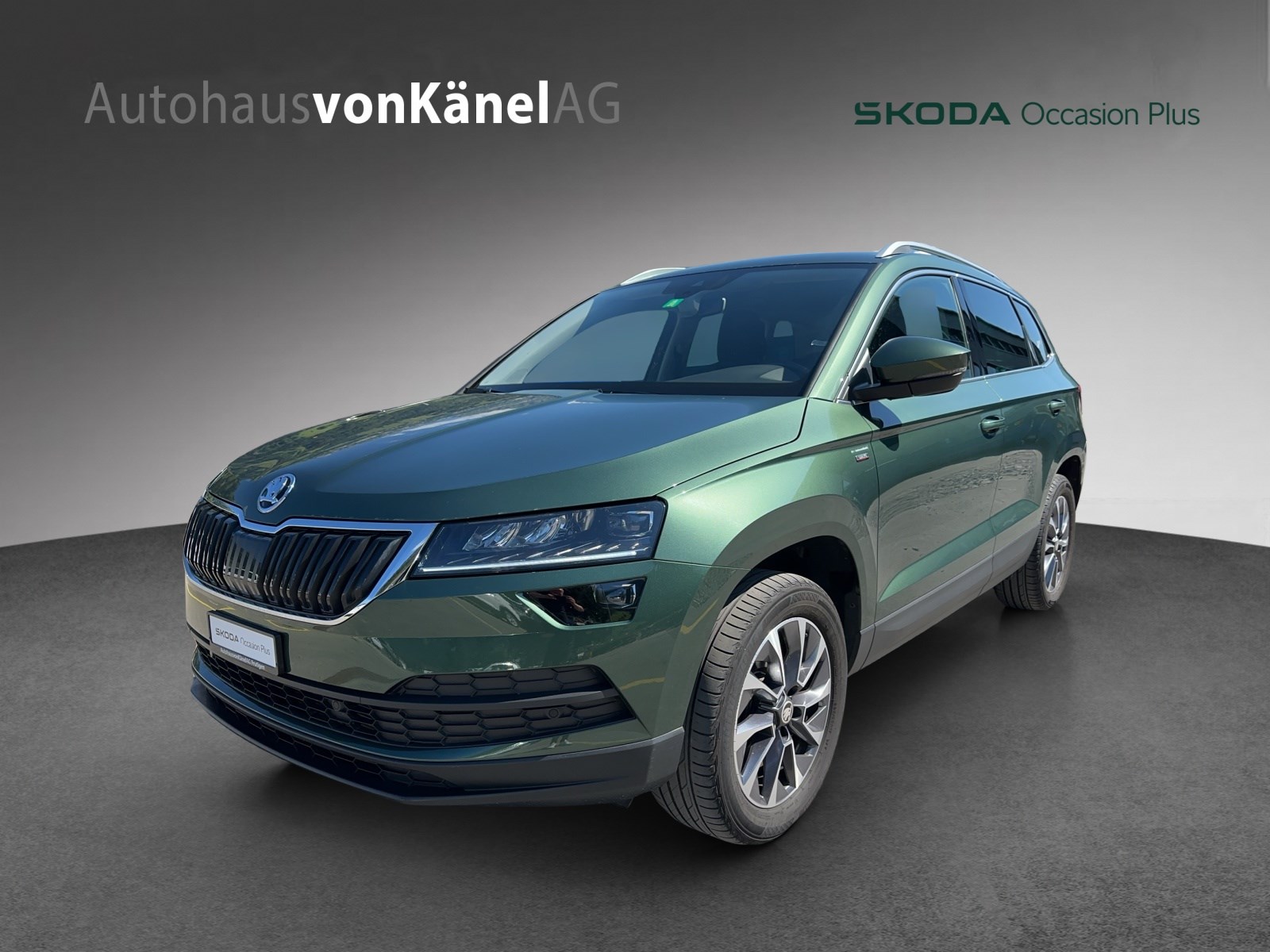 SKODA Karoq 2.0 TDI Drive 4x4 DSG