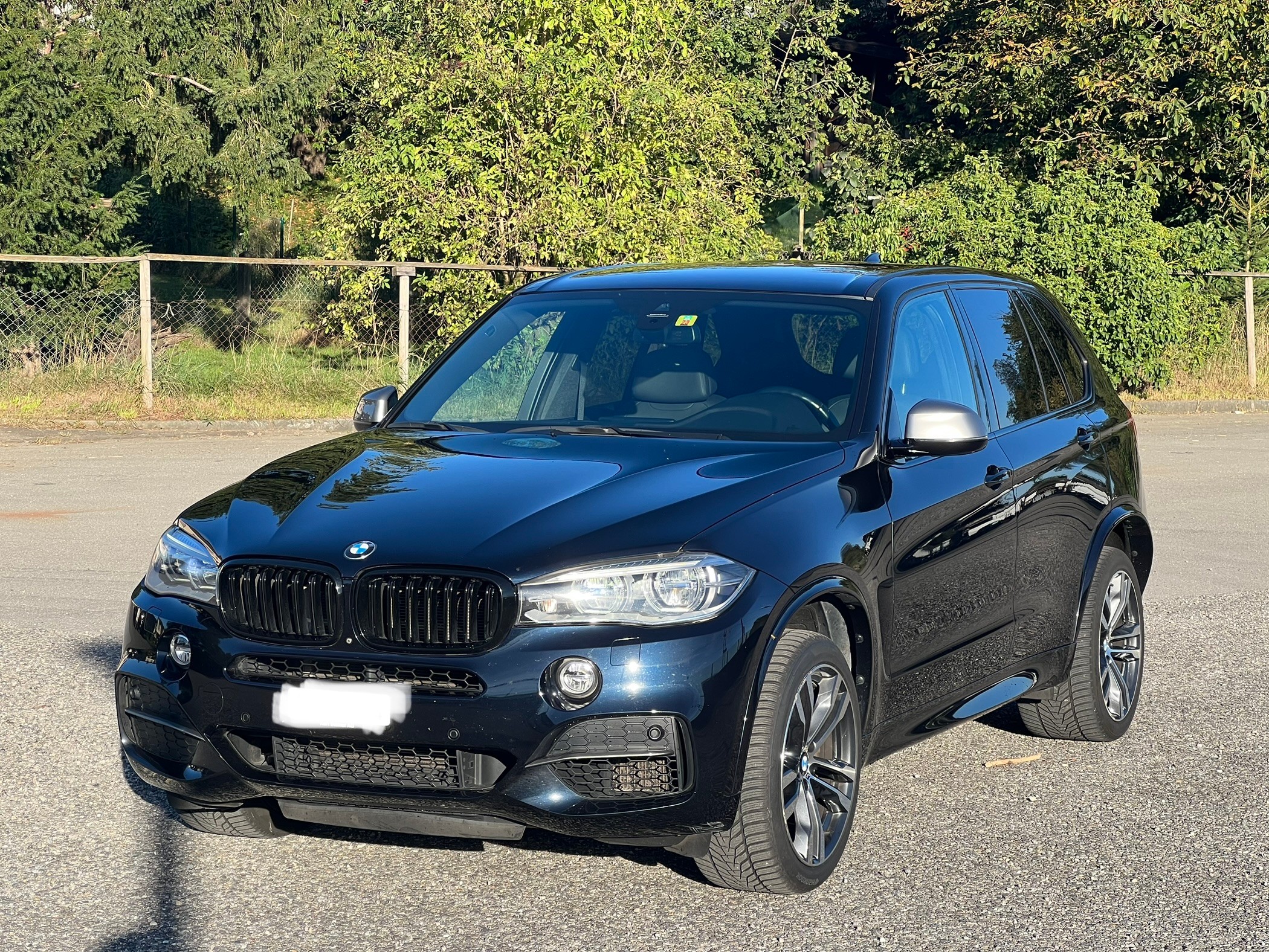 BMW X5 xDrive M50d Steptronic