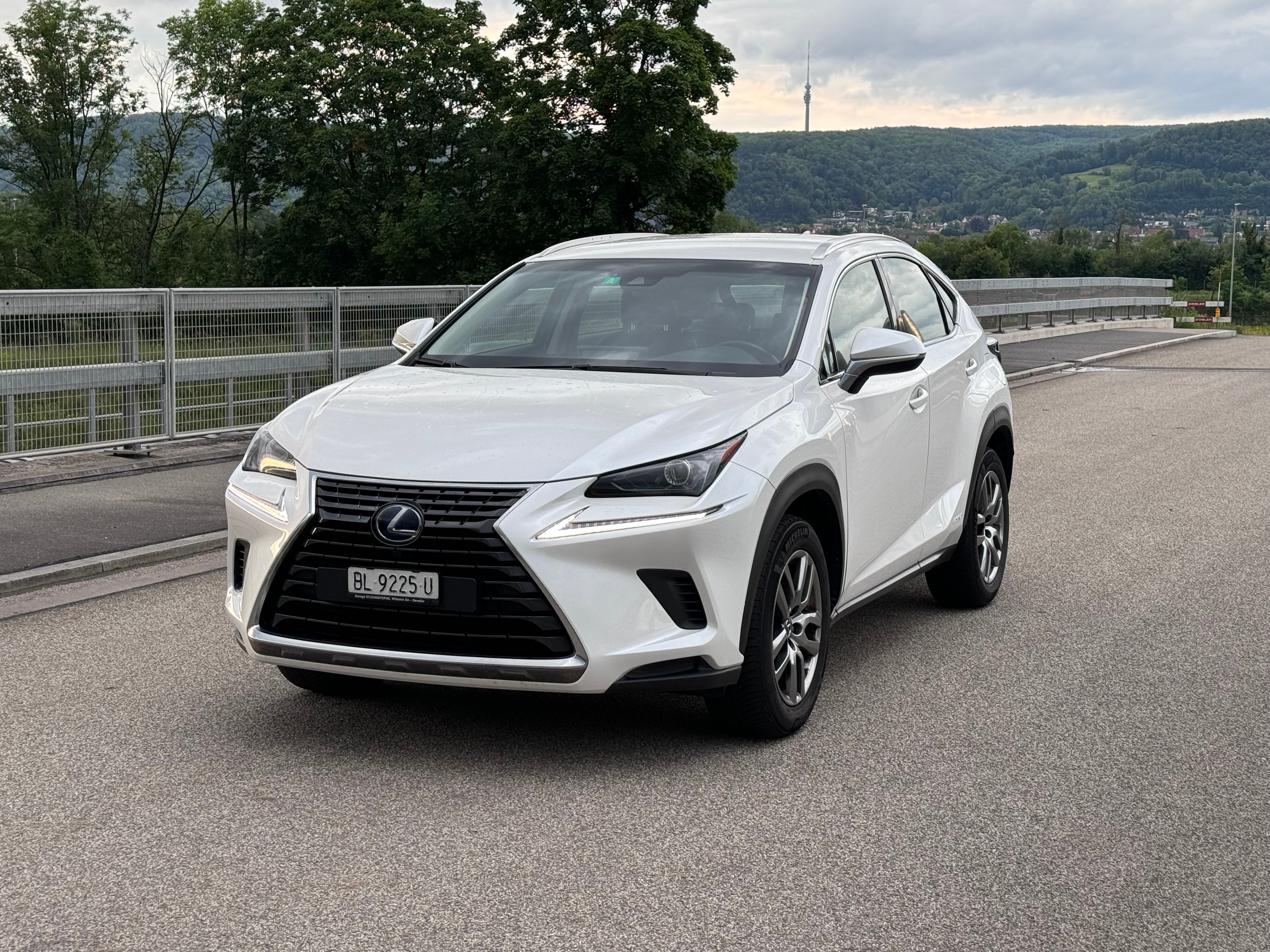 LEXUS NX 300h Impression E-Four Automatic