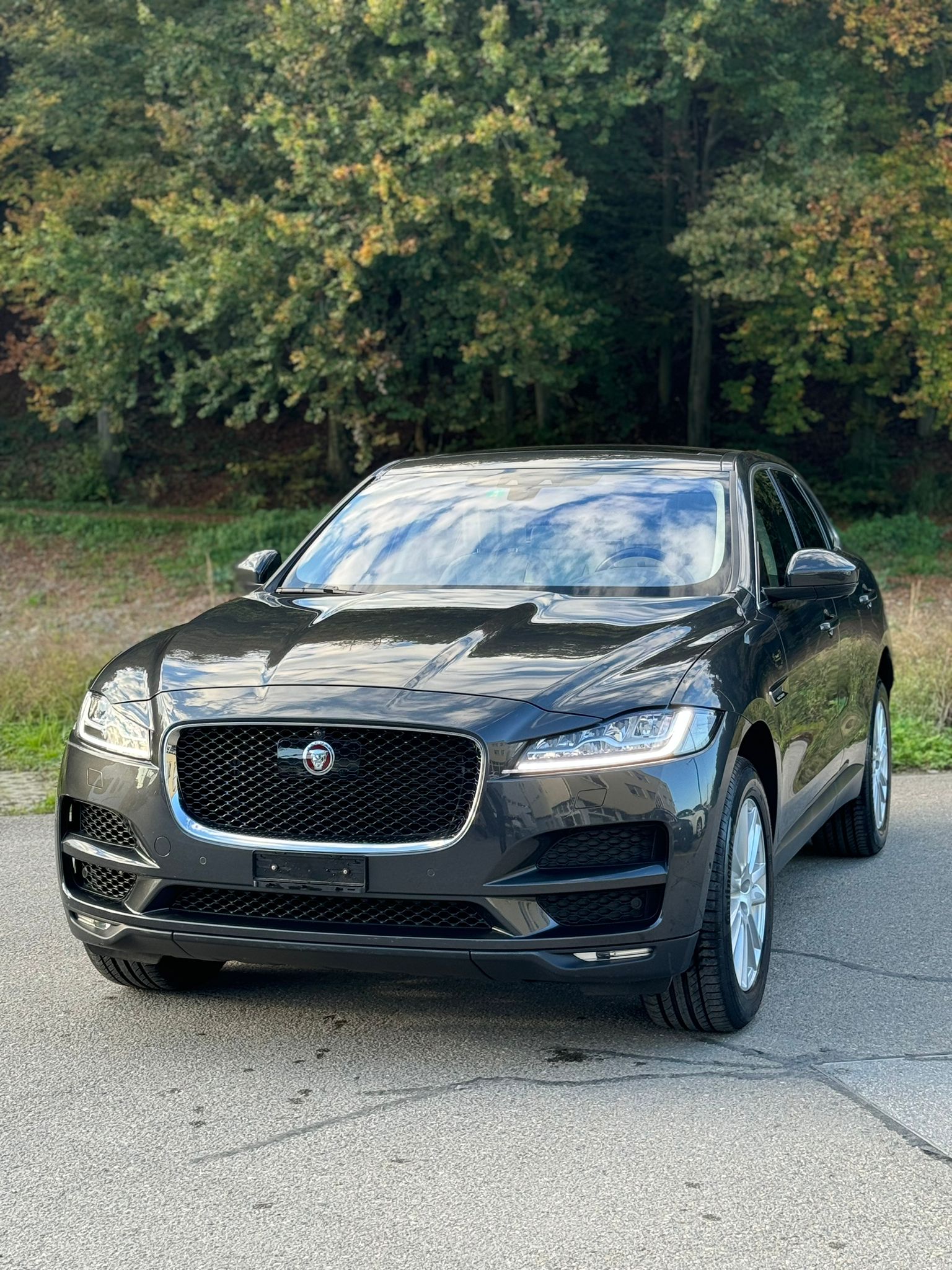 JAGUAR F-Pace 3.0 TD Portfolio AWD Automatik