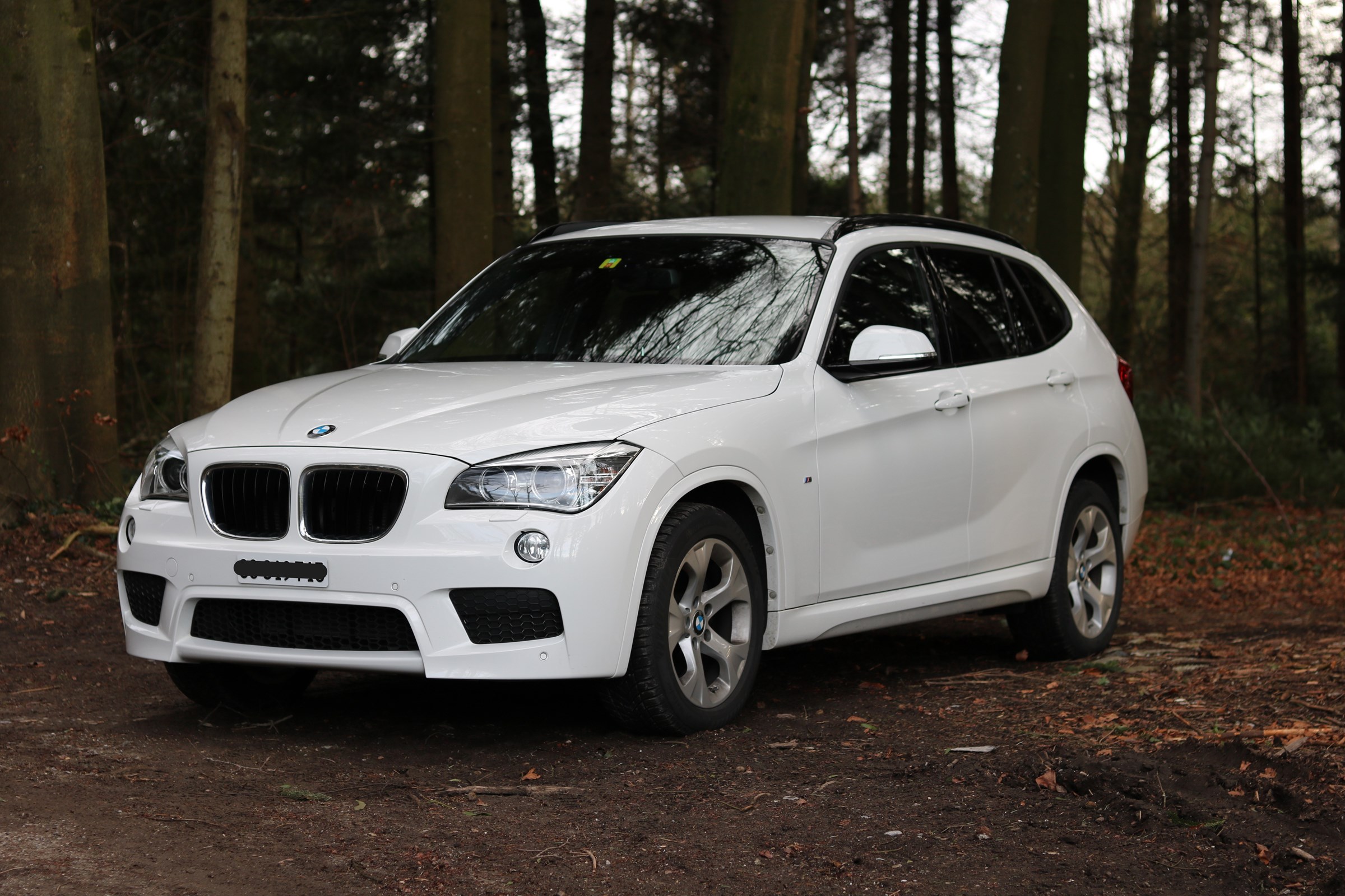 BMW X1 xDrive 18d Sport Line Steptronic