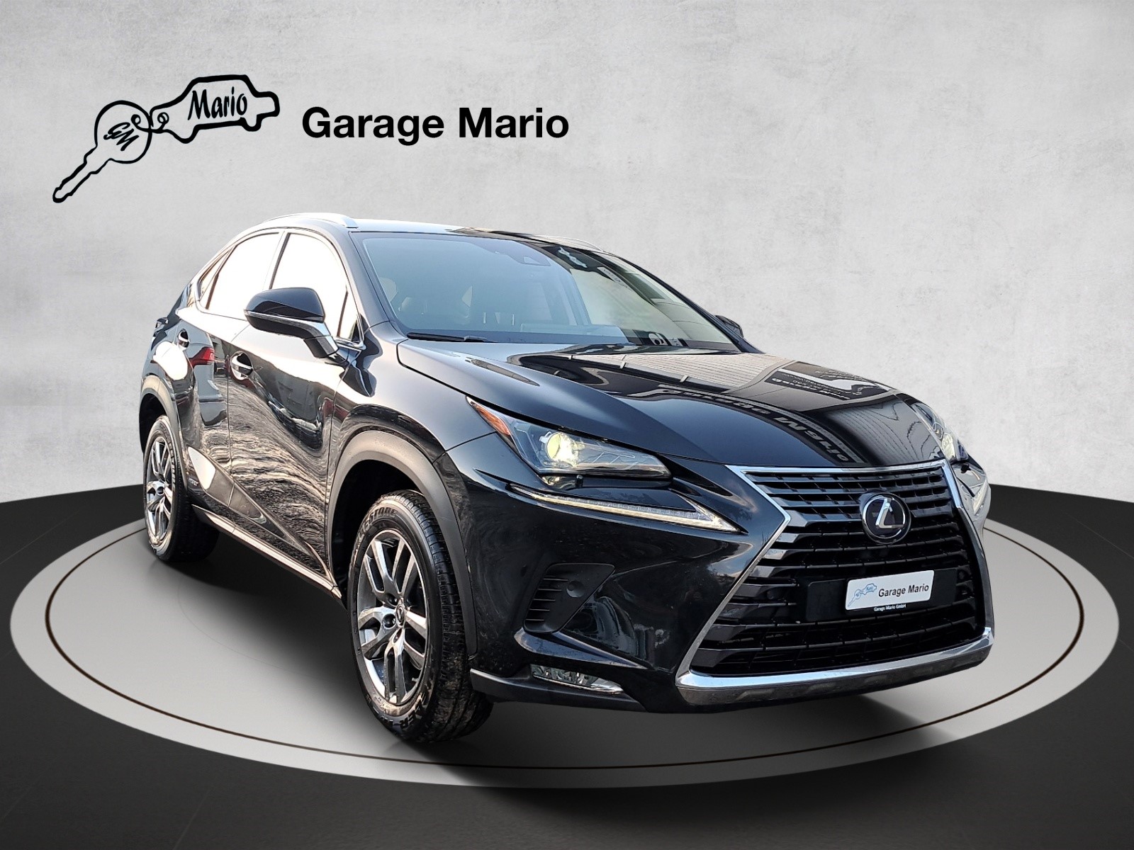 LEXUS NX 300h Comfort E-Four Automatic