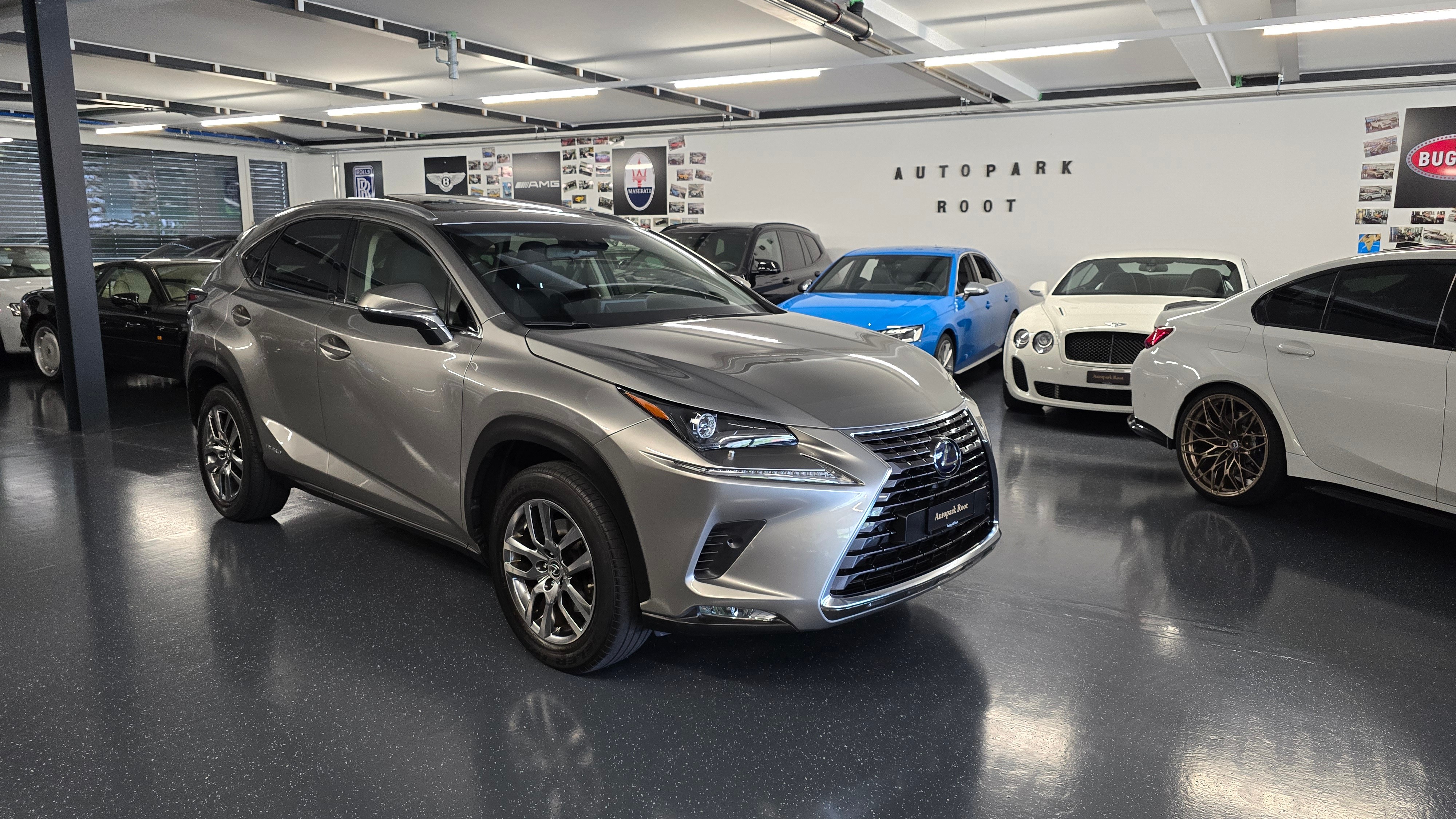 LEXUS NX 300h Excellence E-Four Automatic