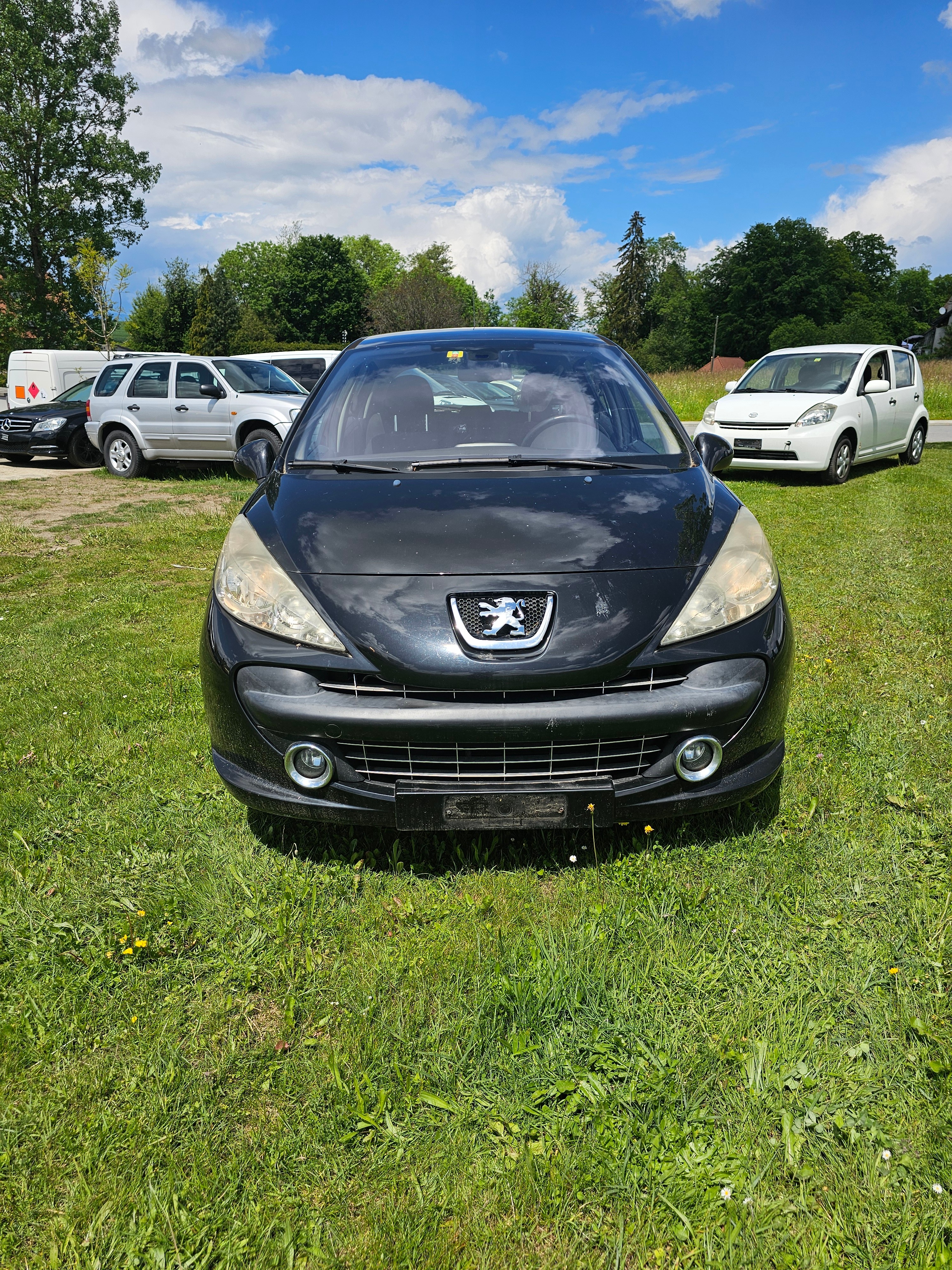 PEUGEOT 207