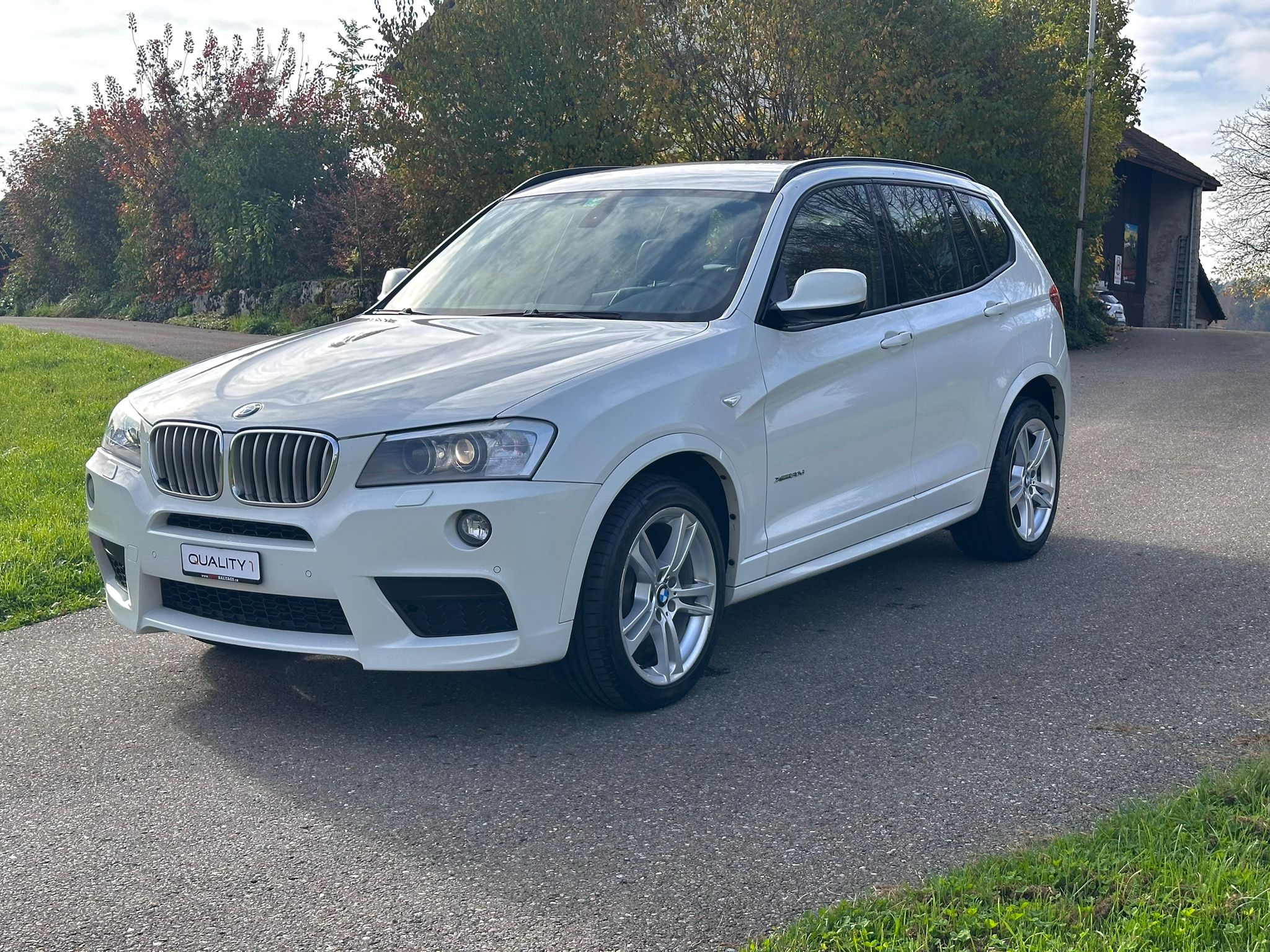 BMW X3 xDrive 30d Steptronic M-Sport Paket