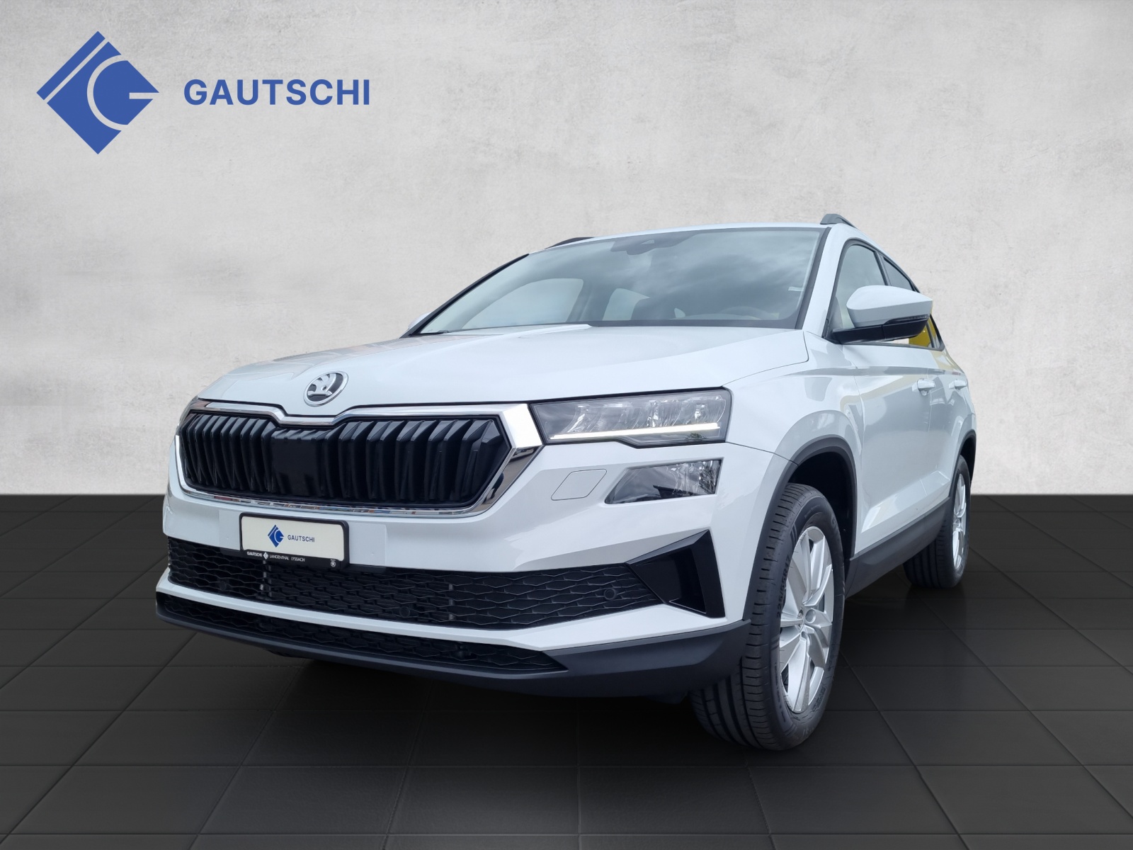 SKODA Karoq 2.0 TDI CR Selection 4x4 DSG