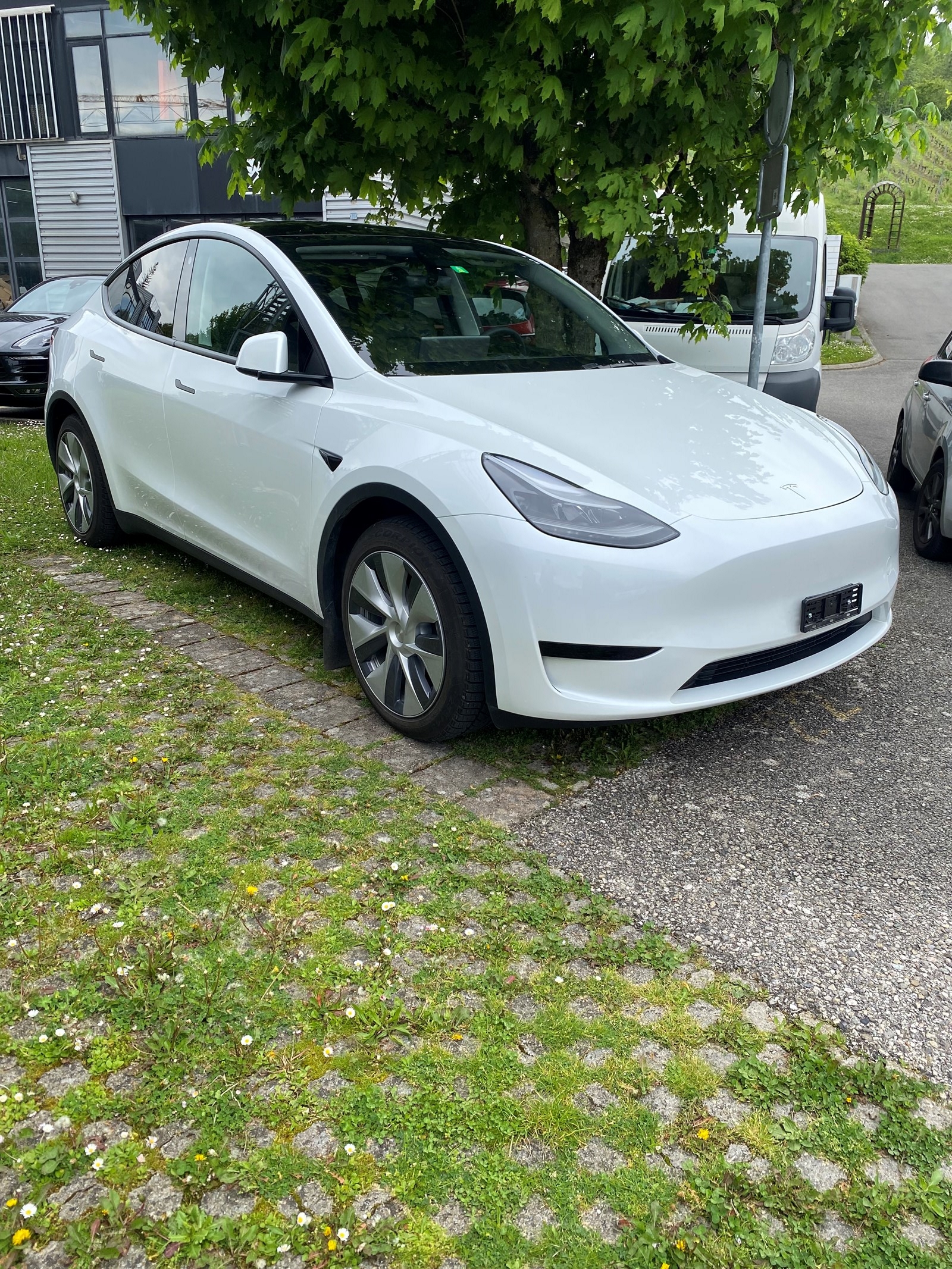 TESLA Model Y RWD