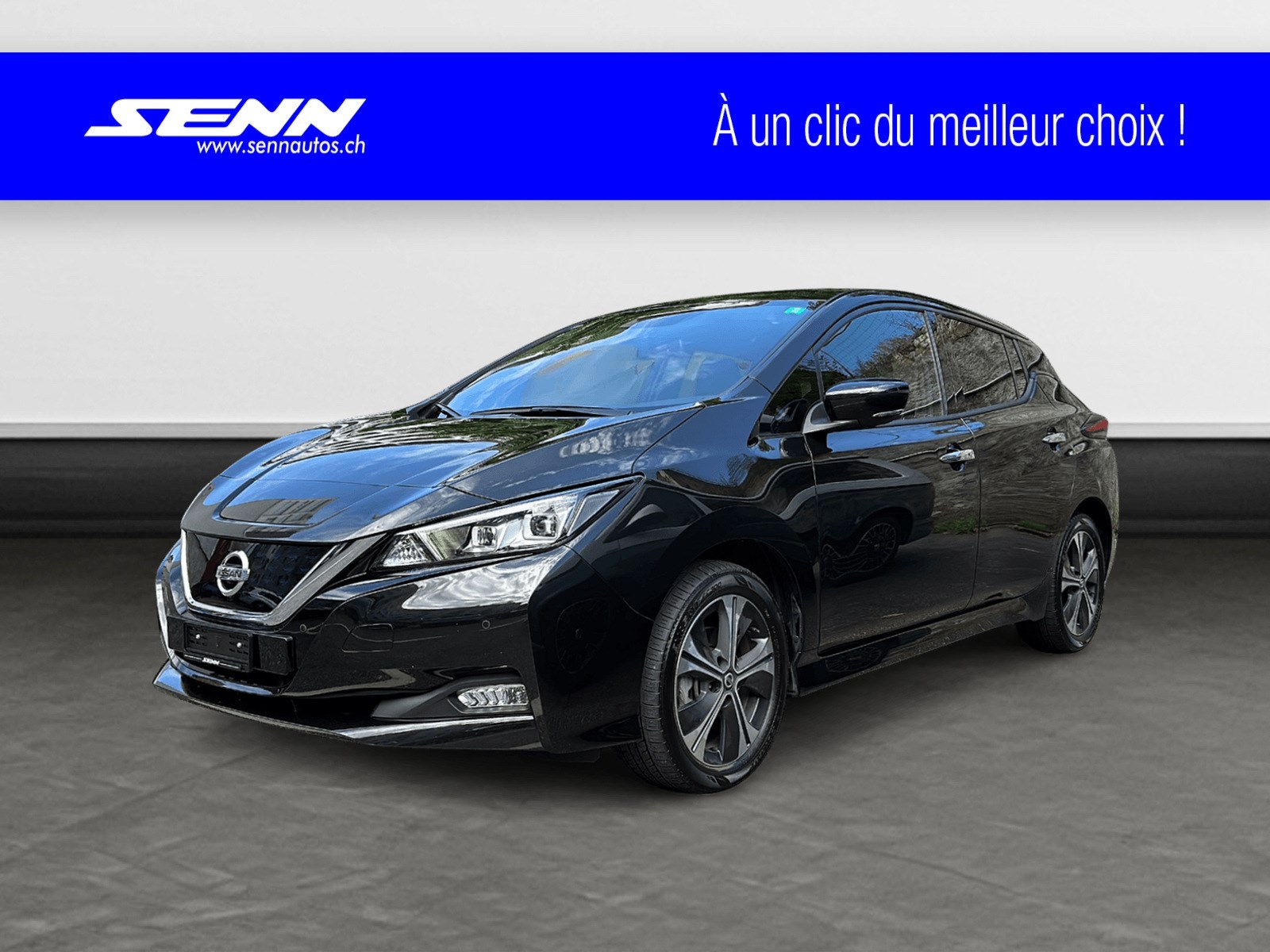 NISSAN Leaf e+ Tekna (incl. battery)