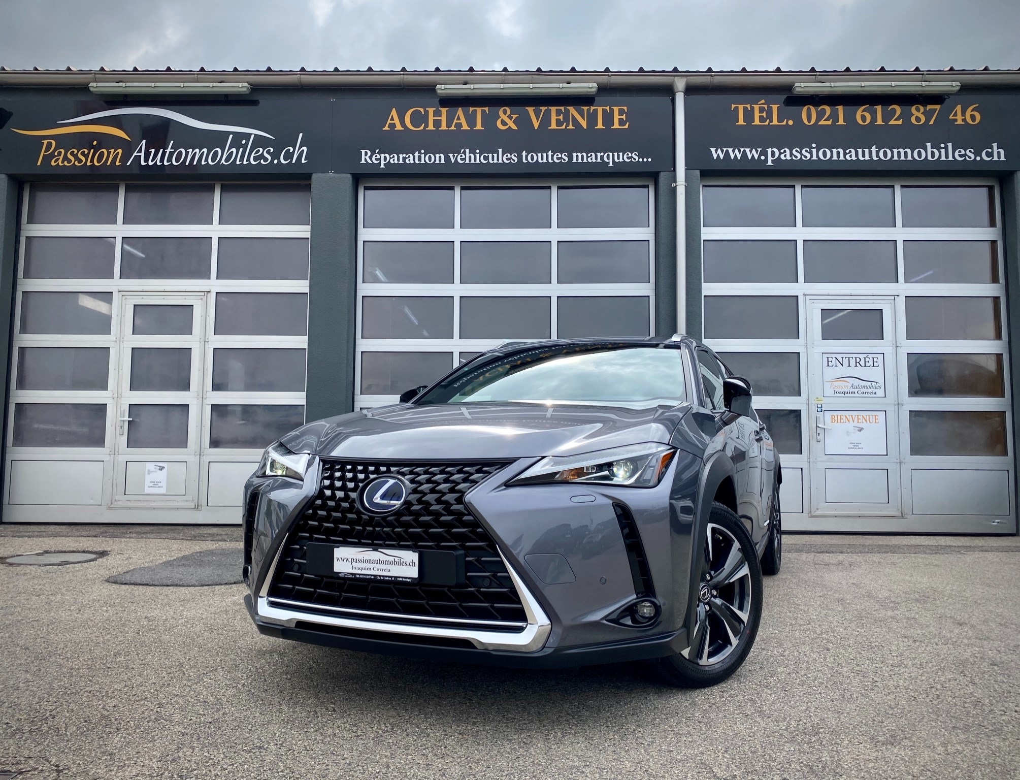 LEXUS UX 250h Impression AWD Automatic