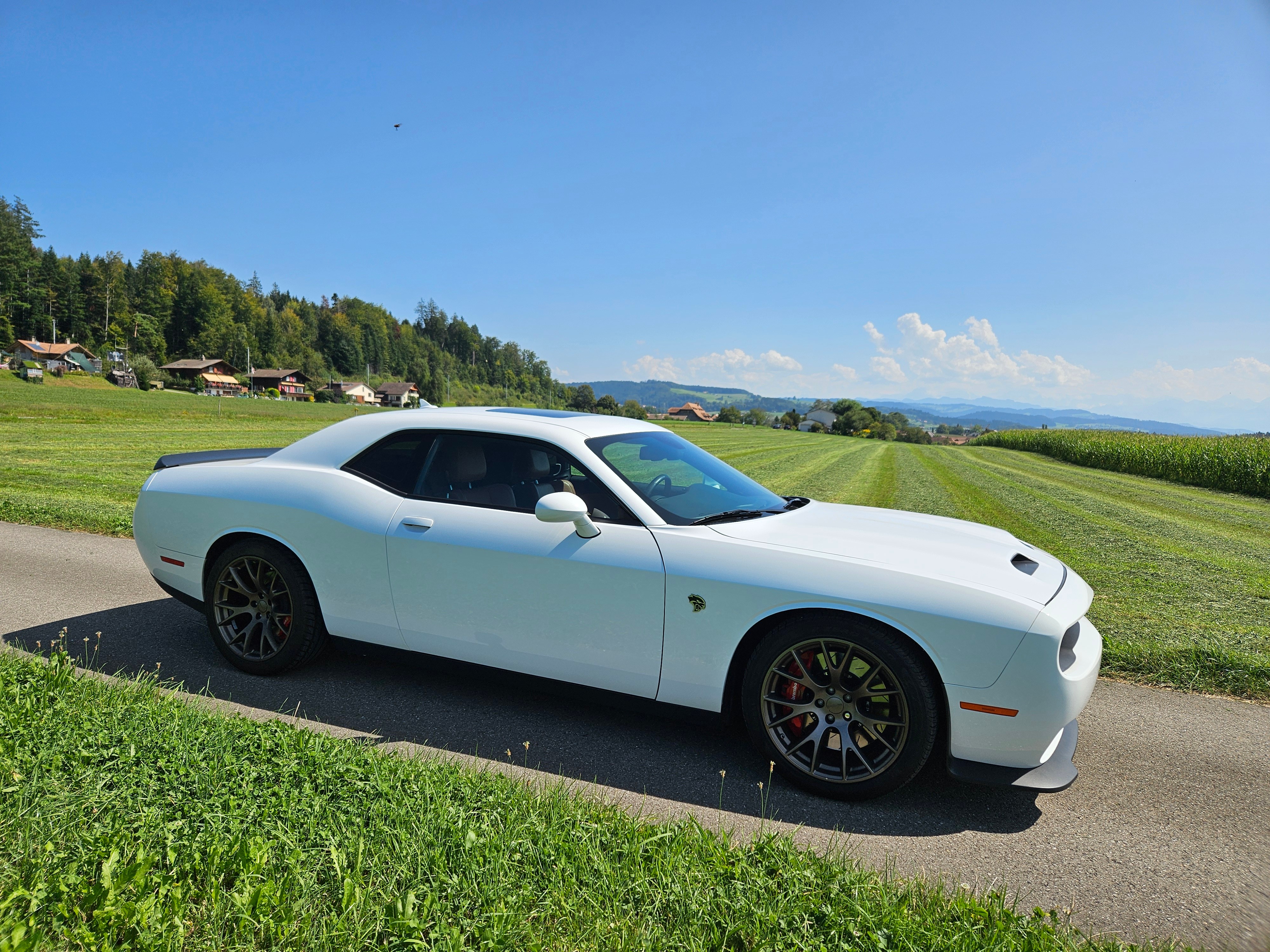 DODGE DSRT Hellcat Handschalter