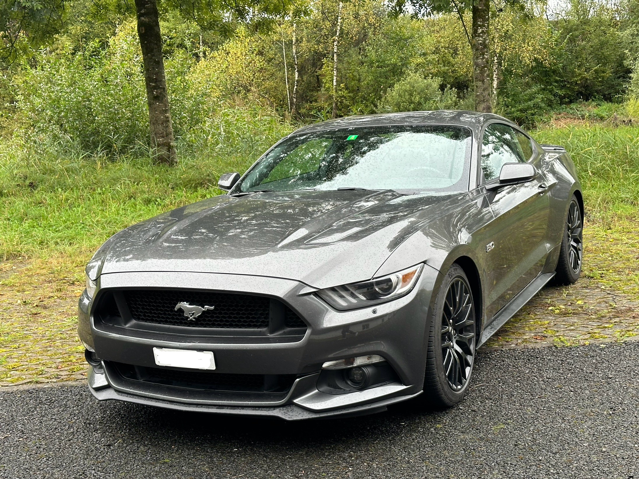 FORD Mustang Fastback 5.0 V8 GT