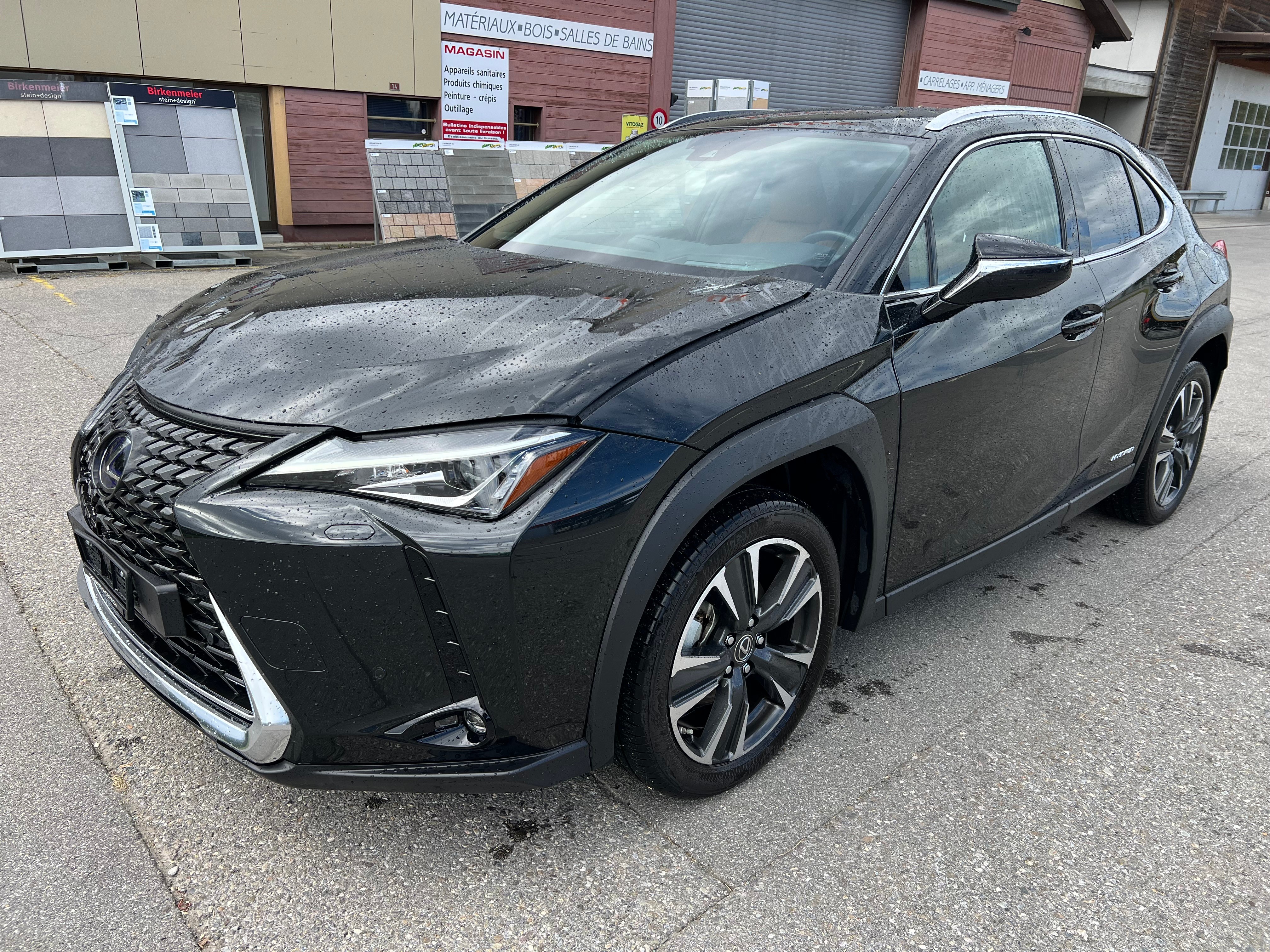 LEXUS UX 250h Excellence AWD Automatic