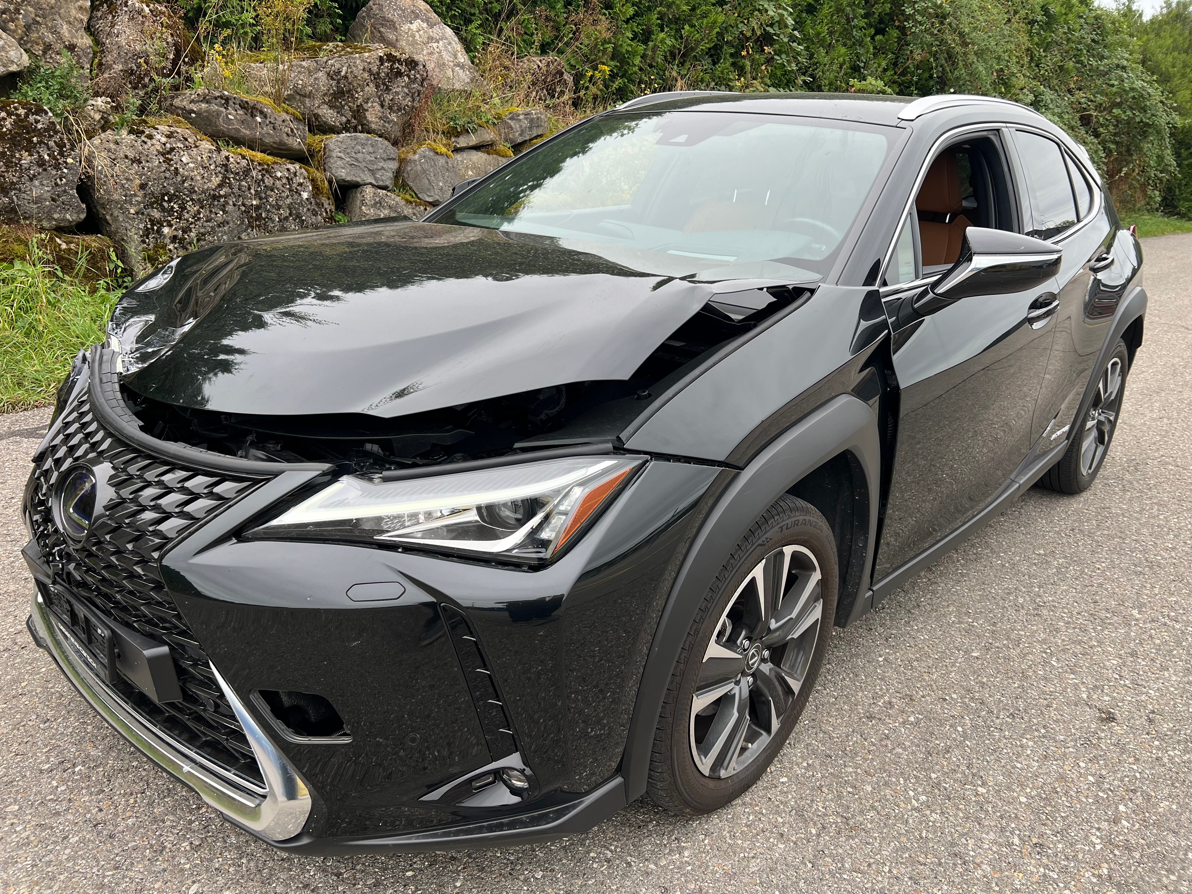 LEXUS UX 250h Excellence AWD Automatic