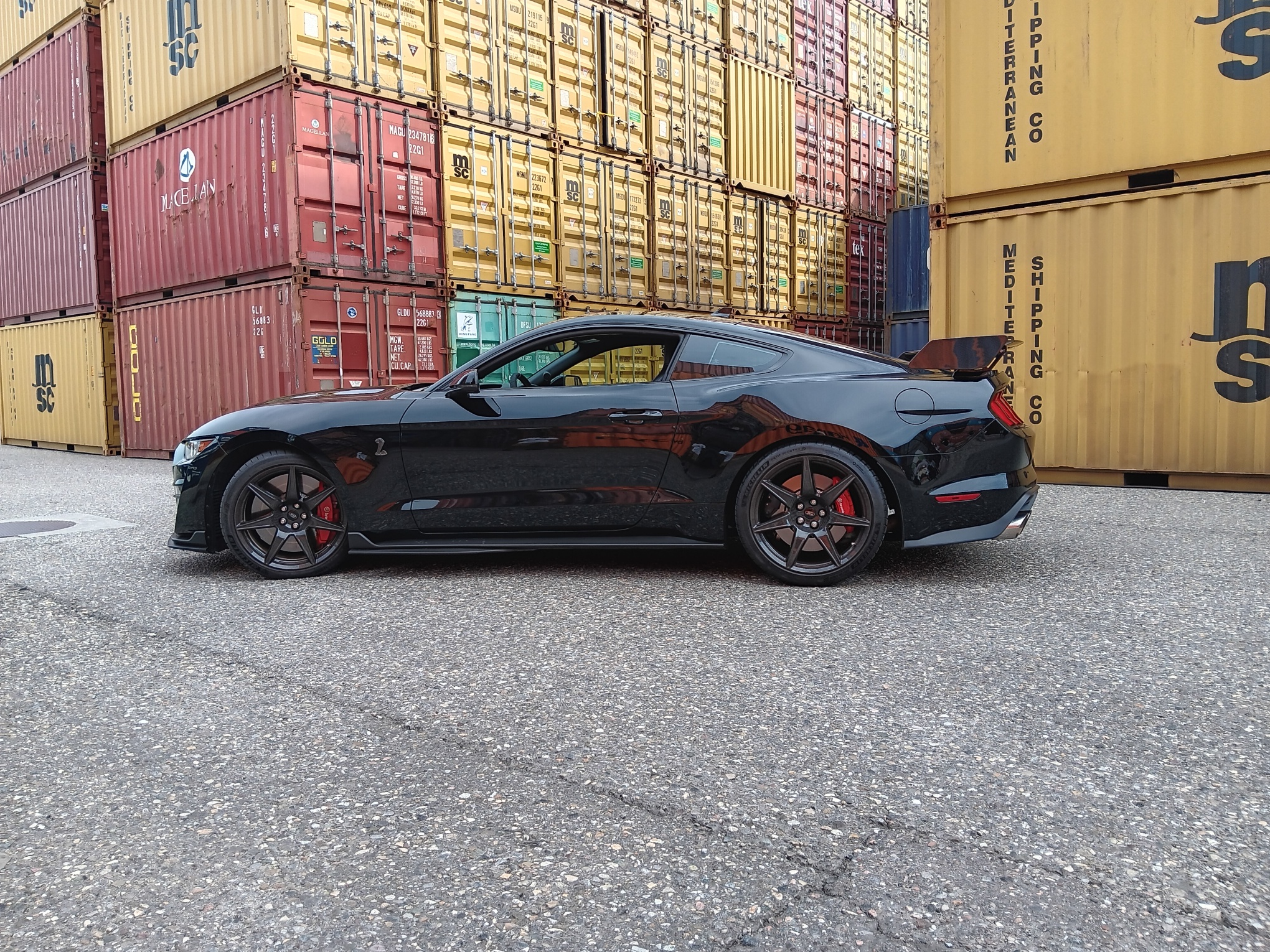 FORD Shelby GT 500 Carbon Fiber Track Pack