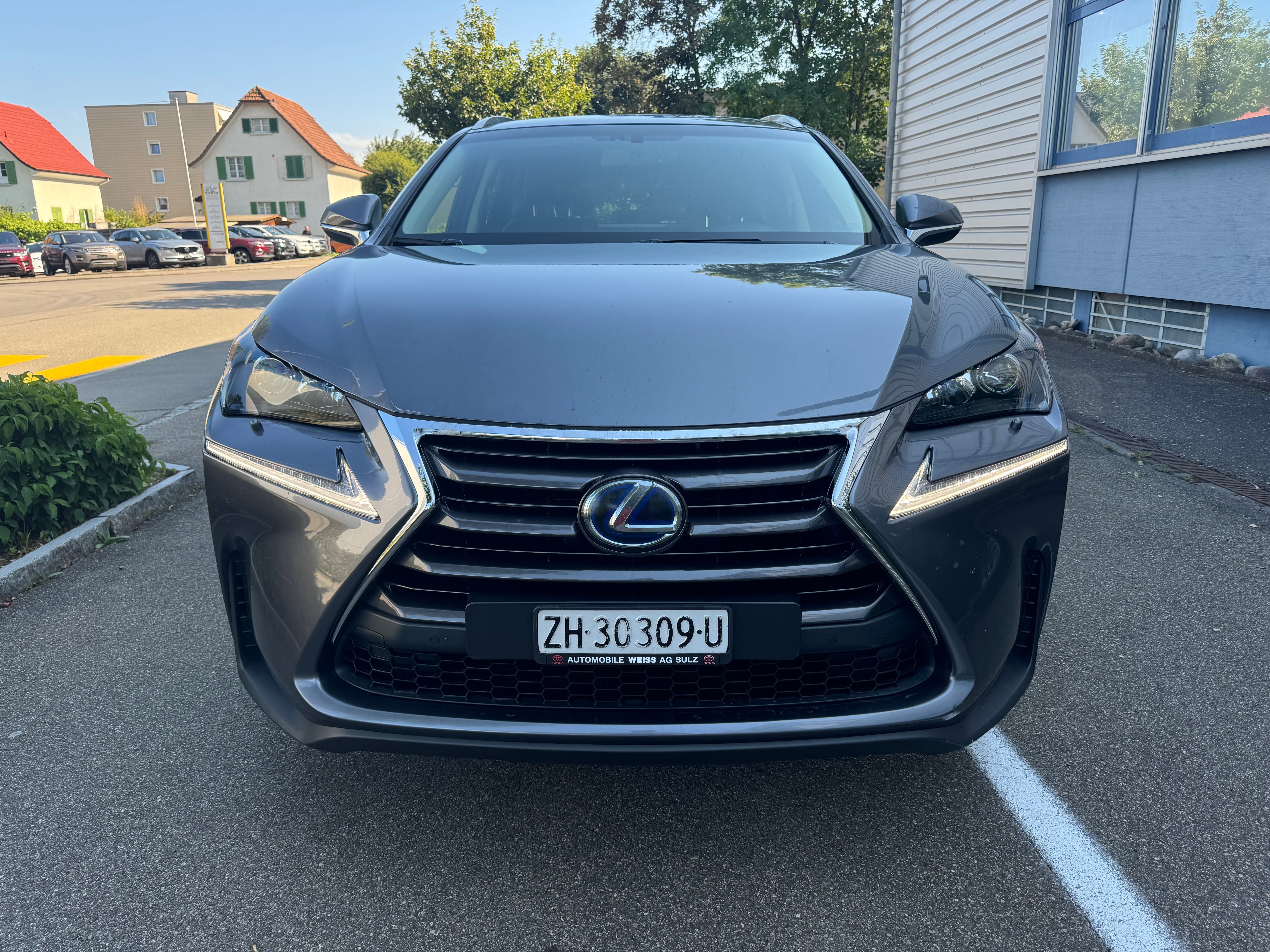 LEXUS NX 300h F-Sport E-Four Automatic