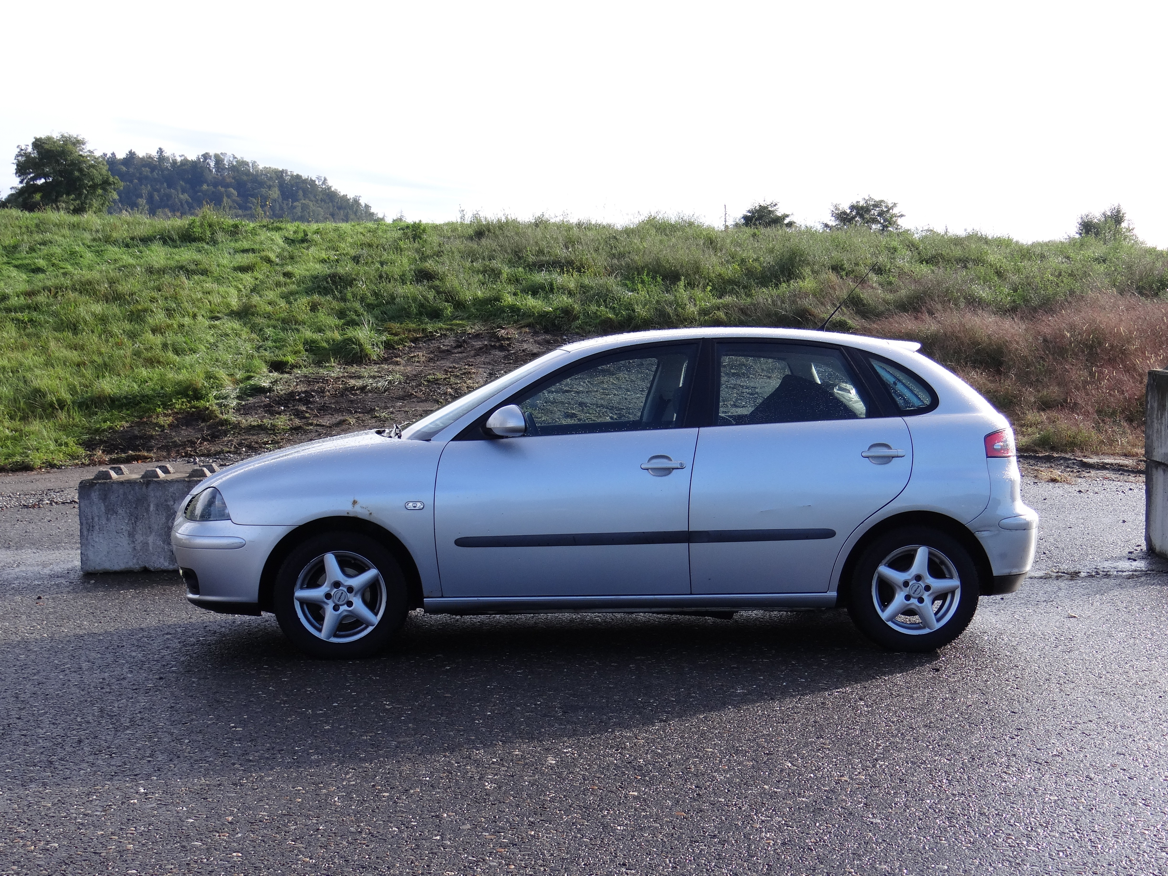 SEAT Ibiza 1.4 16V Signo