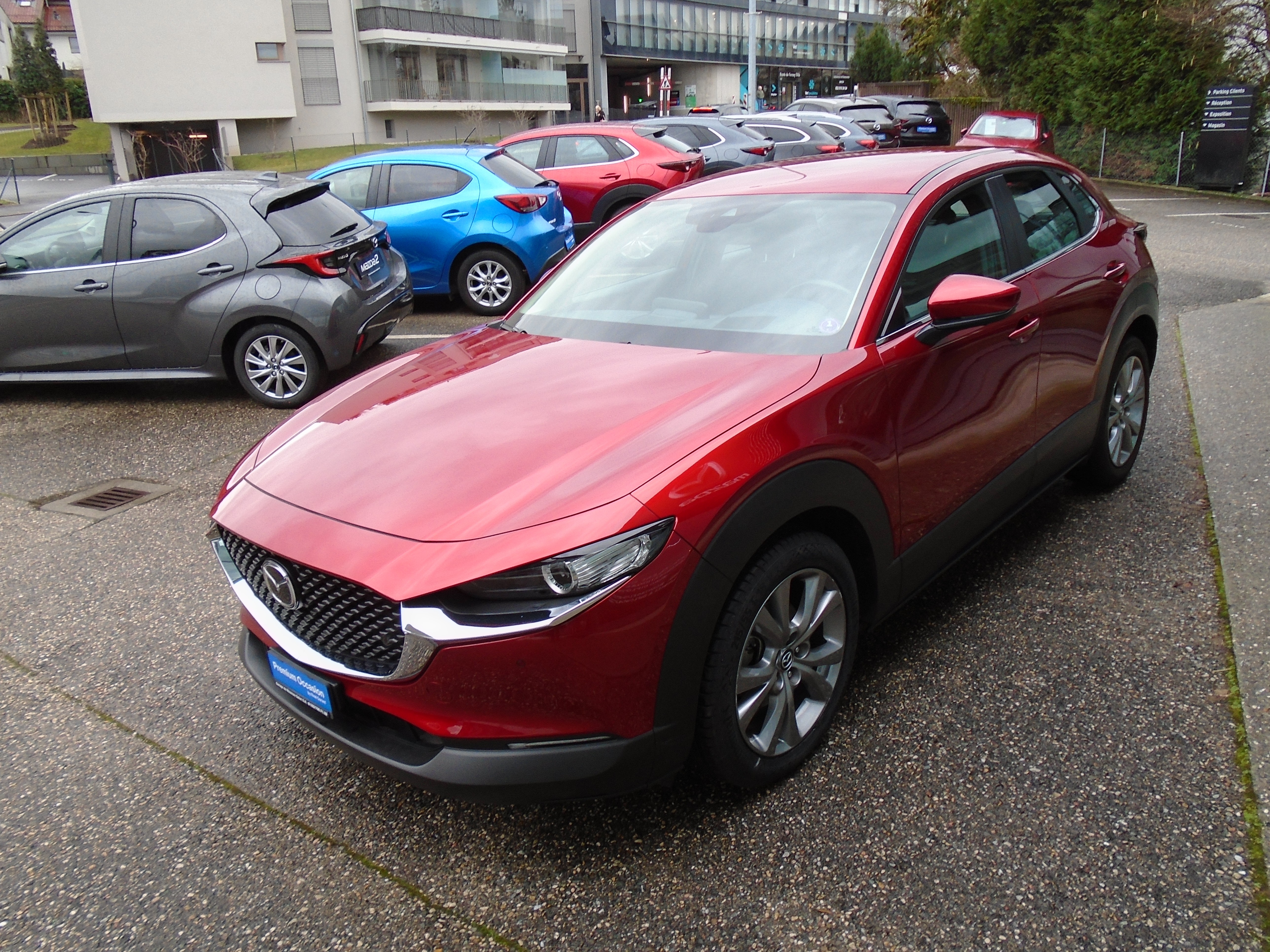 MAZDA CX-30 SKYACTIV-G M Hybrid 122 Ambition Plus FWD Automat